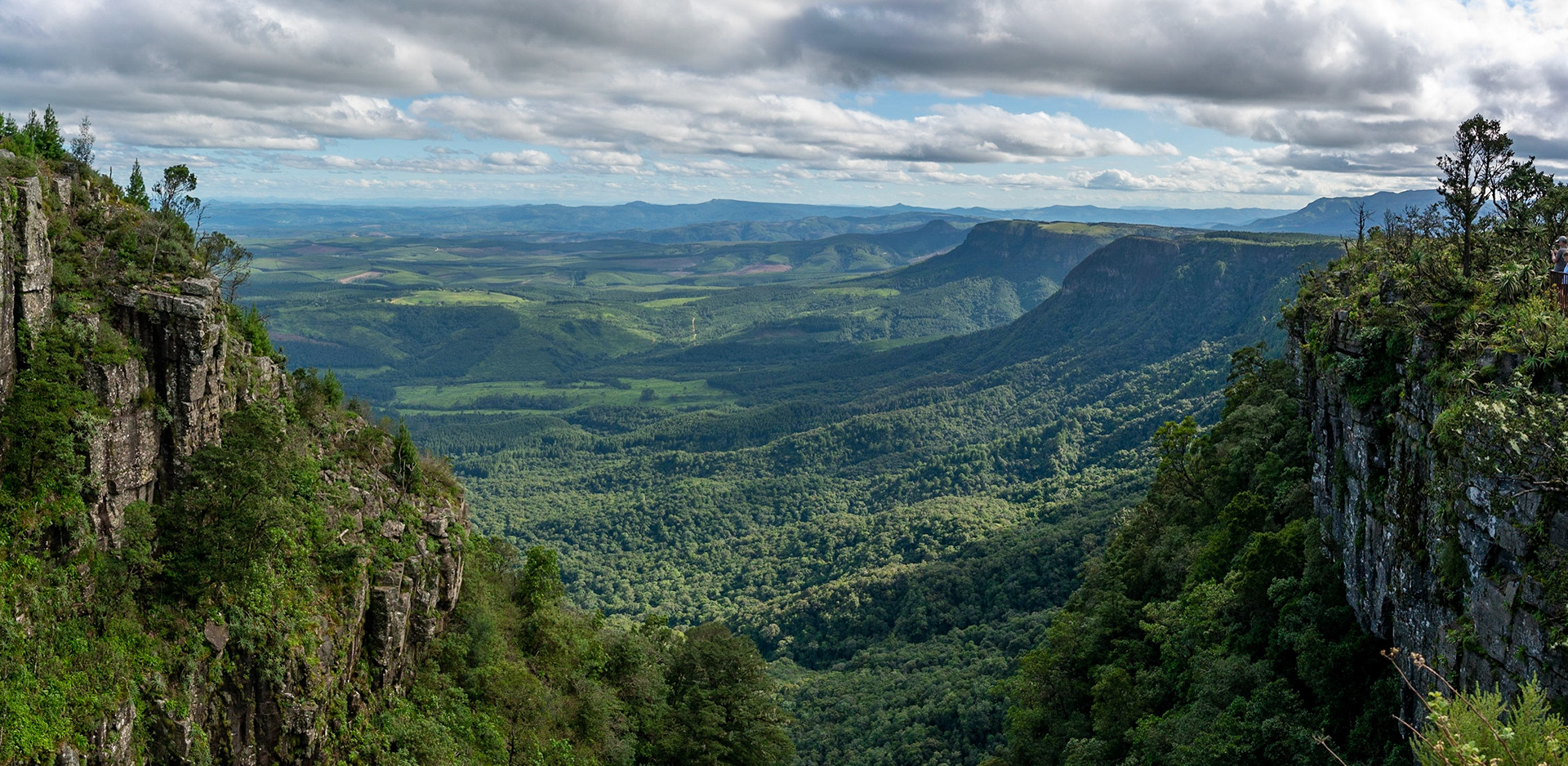 View from God's Window near Graskop in South Africa