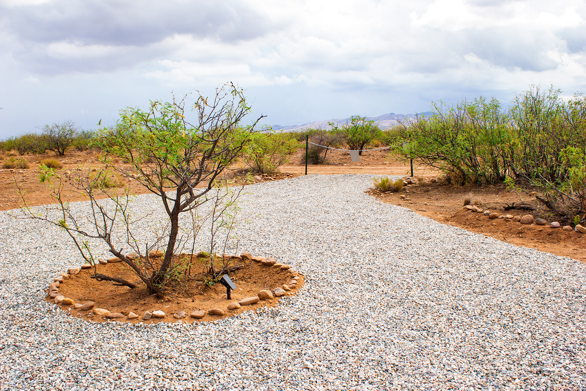 Entranceway of Peaks Valley Preserve with mesquite tree roundabout
