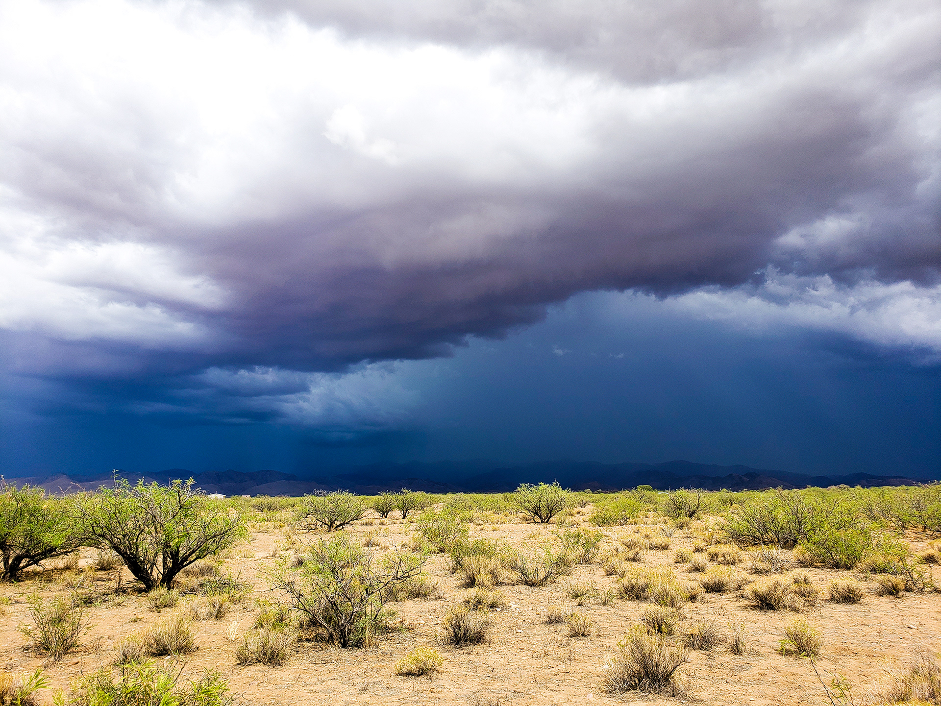 Summer monsoon clouds over the Chiricahua Mountains