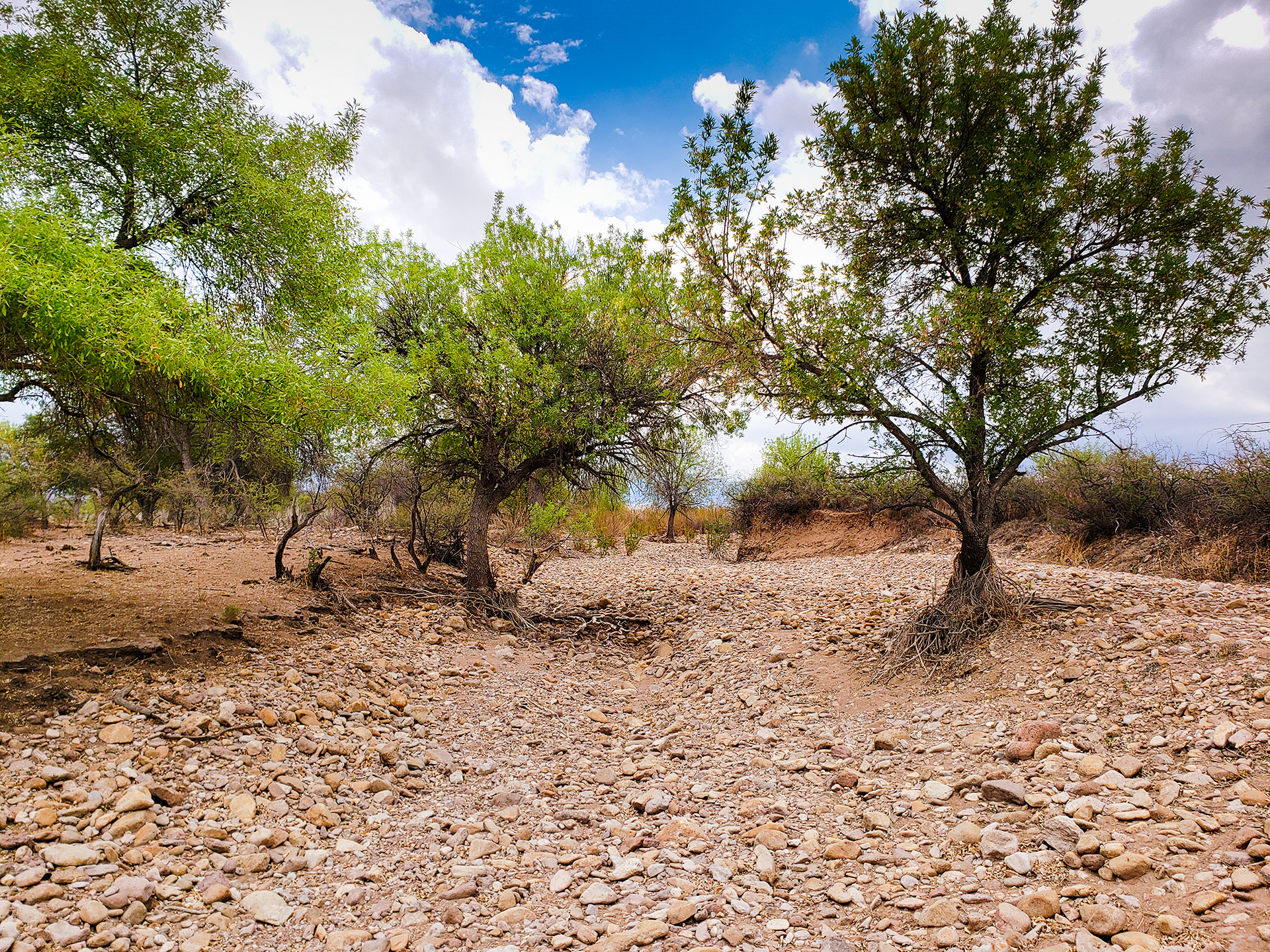 The dry creek bed of Turkey Creek in the early summer