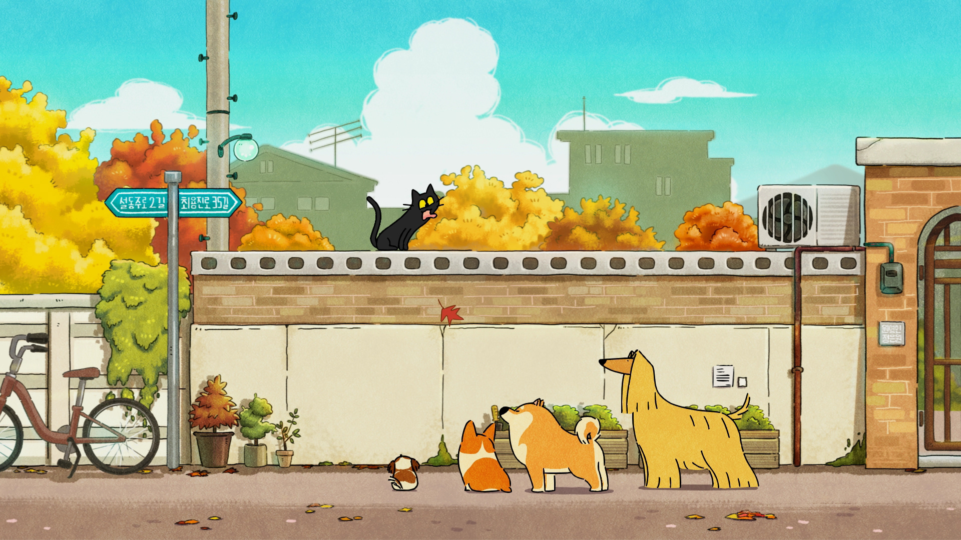 고양이는 놓쳤지만...