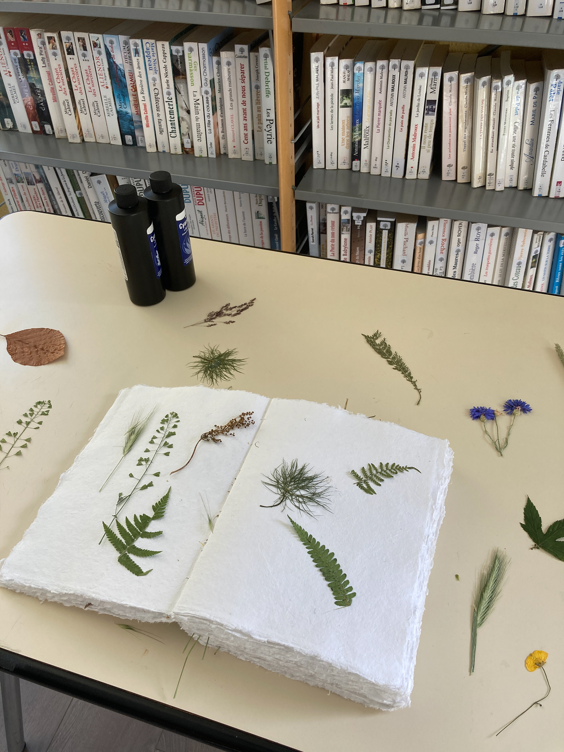 Atelier cyanotype à Villard-de-Lans