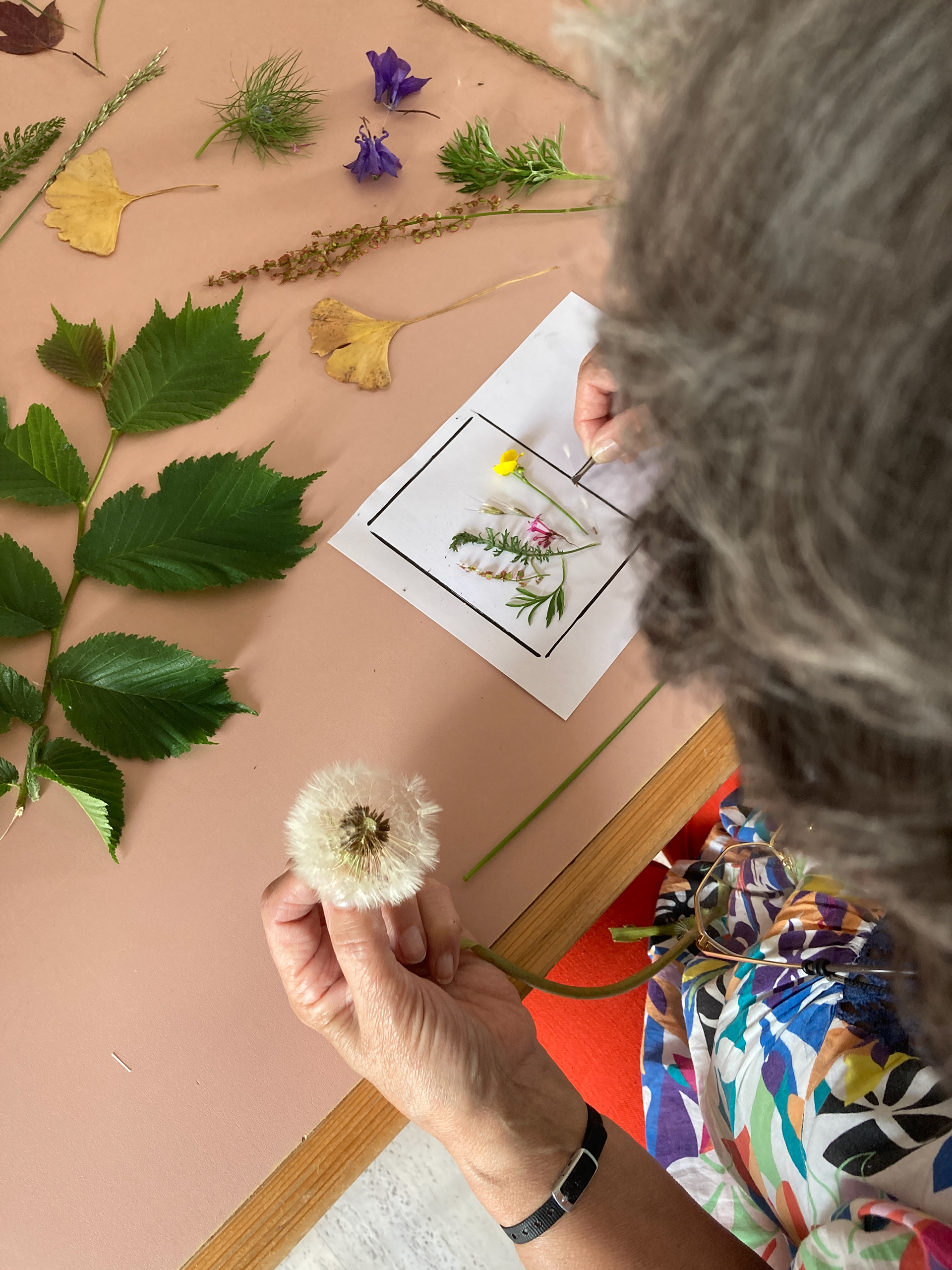 Atelier cyanotype Méaudre