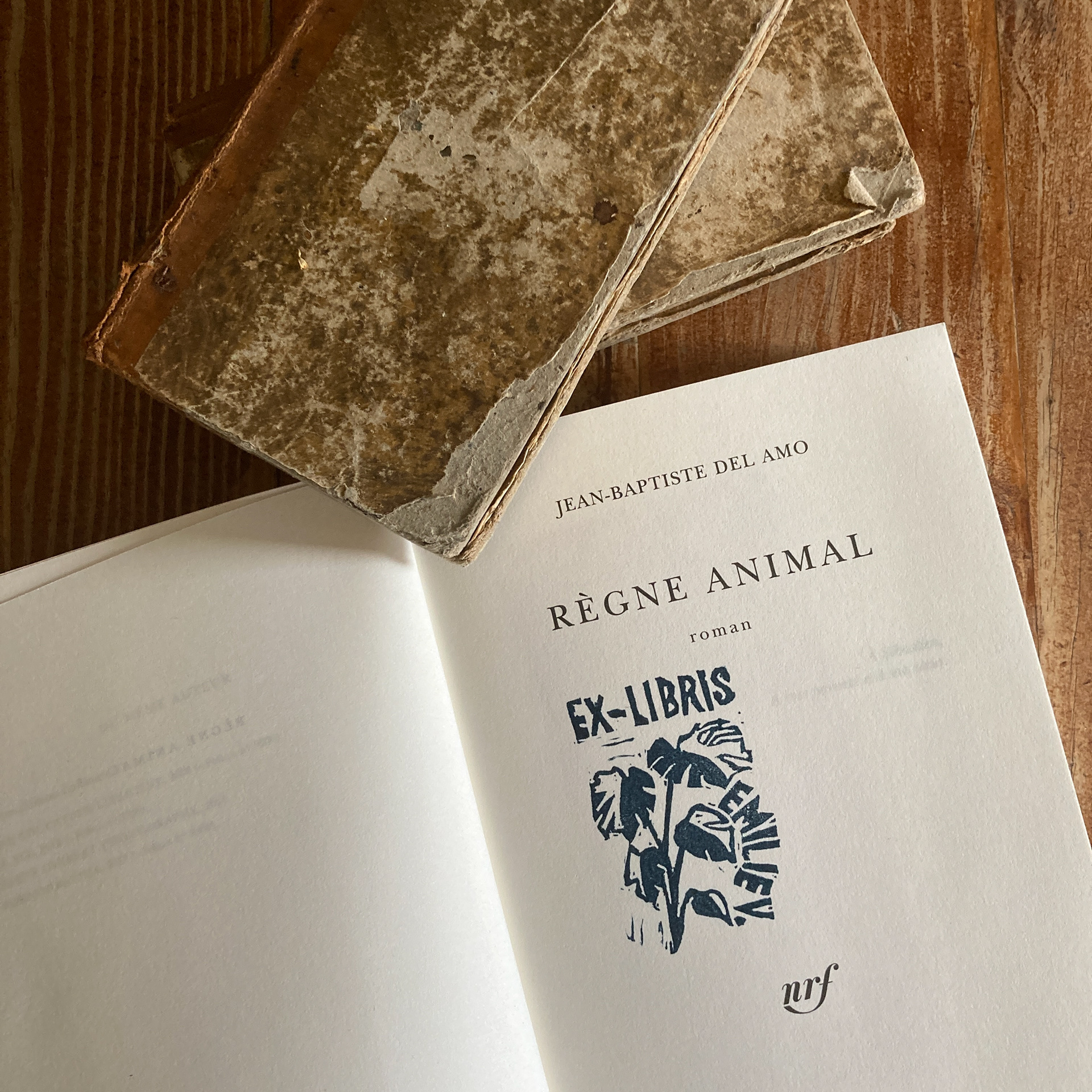Atelier ex-libris