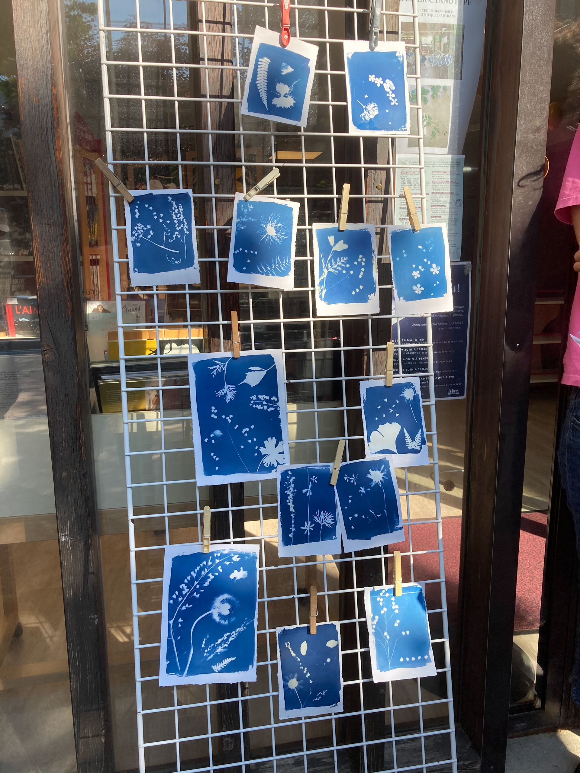 Atelier cyanotype à Autrans