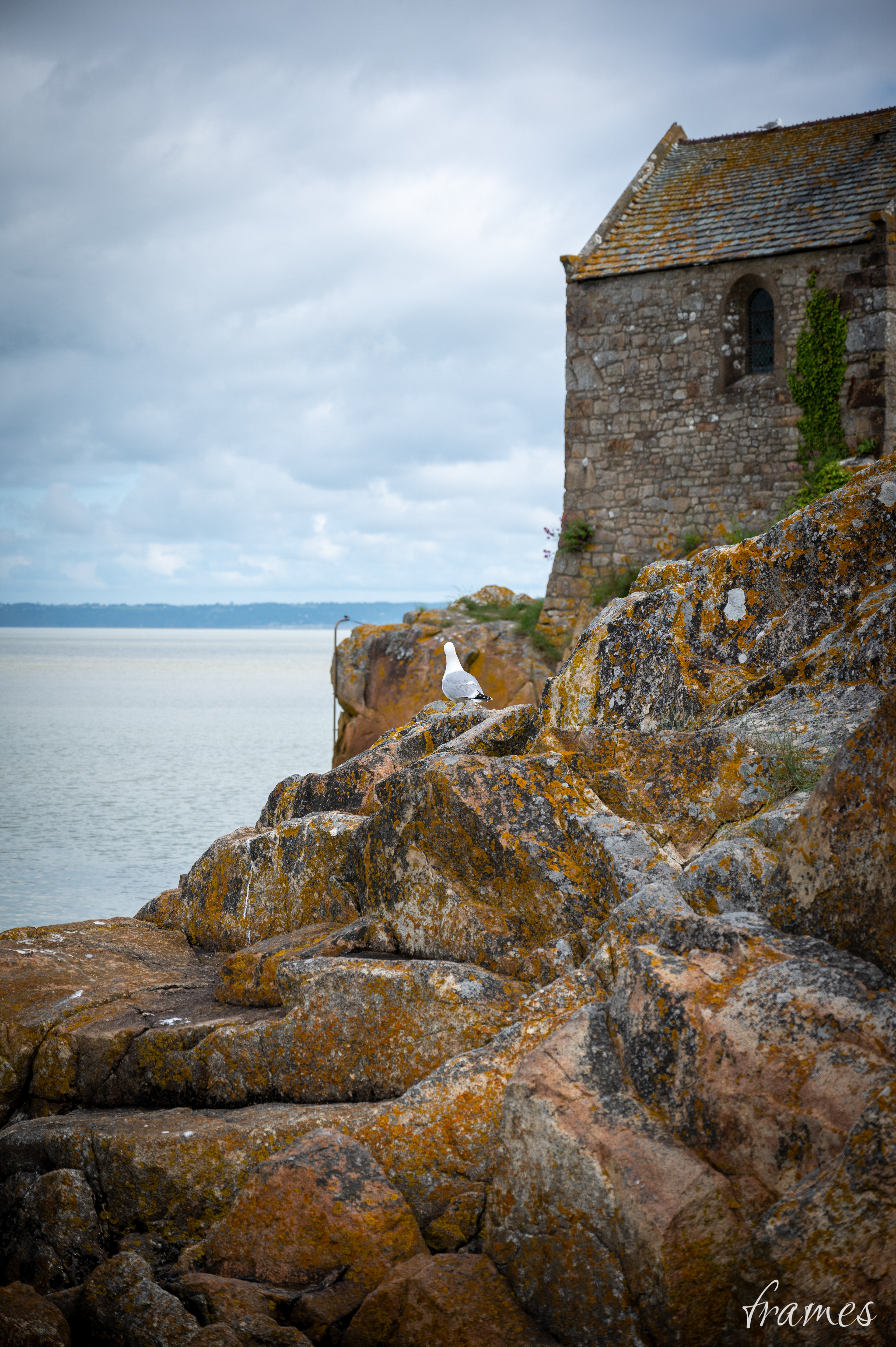 Le paradis des goélands