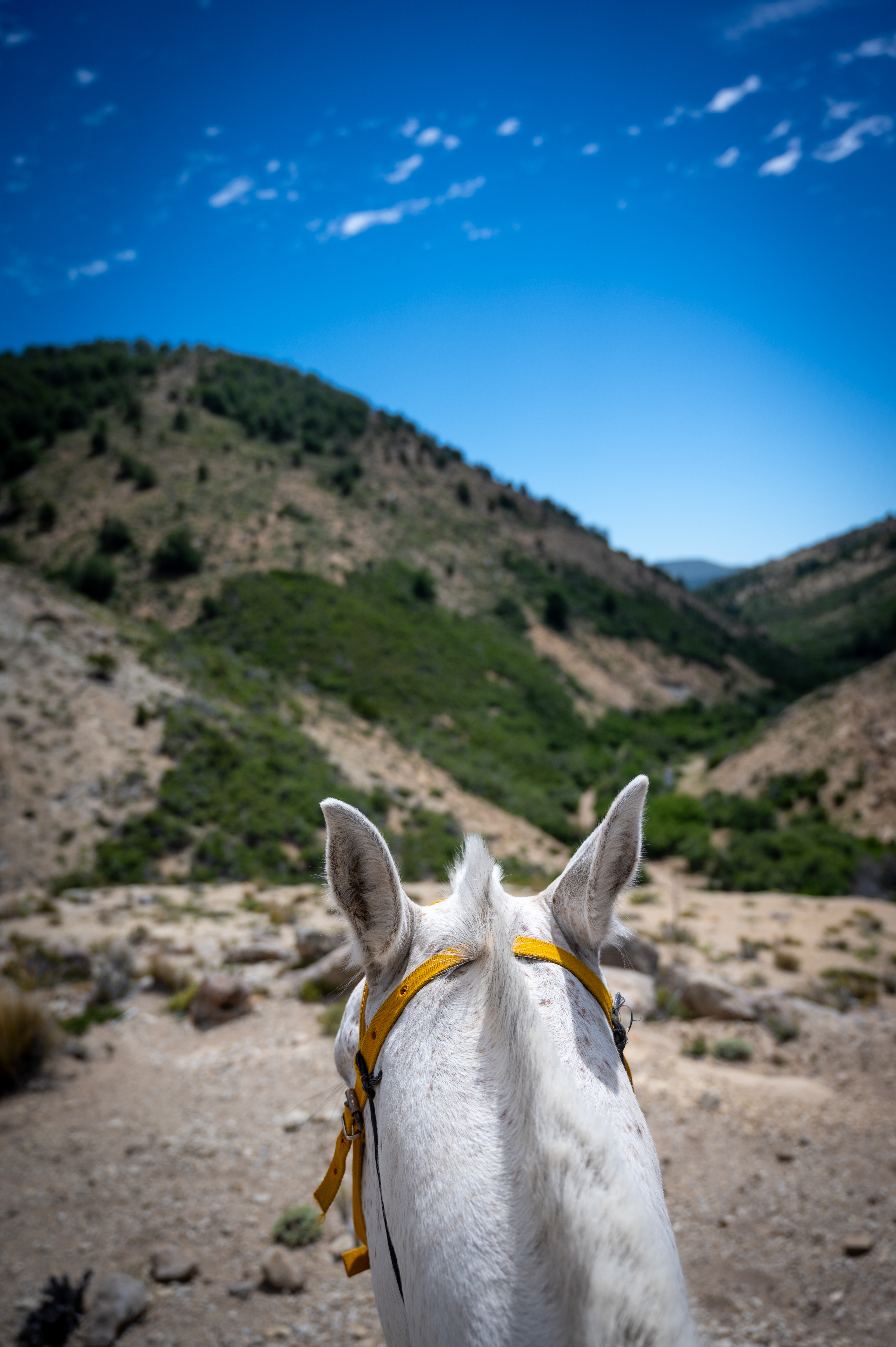 Un petit air de Scandinavie