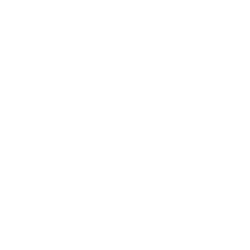 DIEGO G WORKS