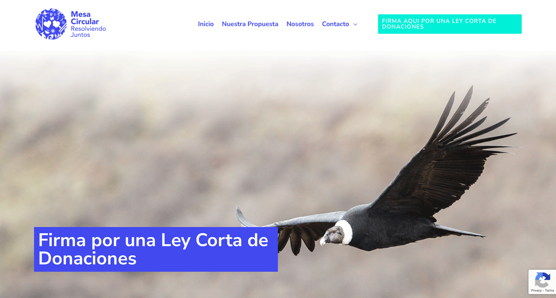 Web page. Referent for Colour palette