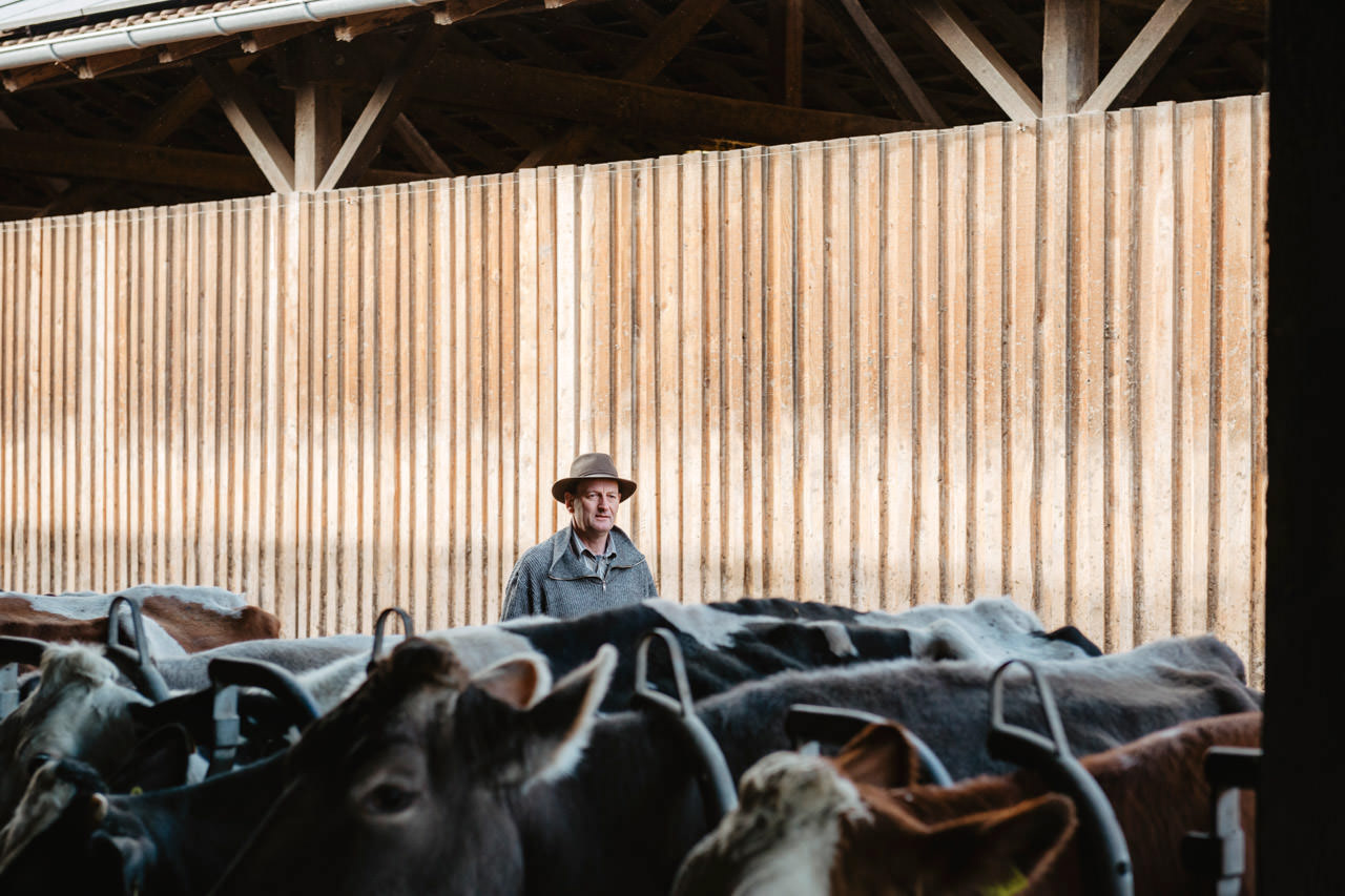 Dokumentation-Reportage-Porträtaufnahmen-Bayrischer-Bauernverband Obmann Wolfgang Scholz auf seinem Bauernhof