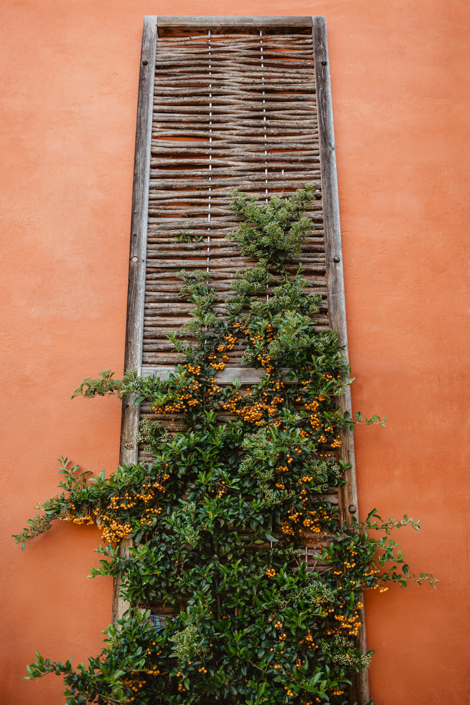 Corporate Fotos / Werbefotos für den Handwerksbetrieb Lehmbau Achtzehner Werkstattfotos Gebäudefotos - Stimmungsfotos/Details