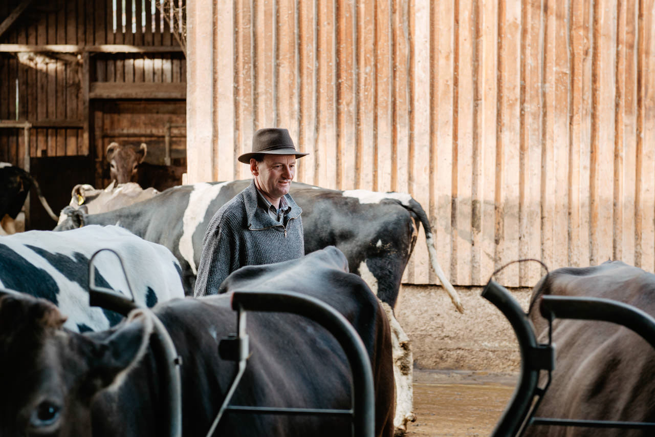 Dokumentation-Reportage-Porträtaufnahmen-Bayrischer-Bauernverband Obmann Wolfgang Scholz auf seinem Bauernhof