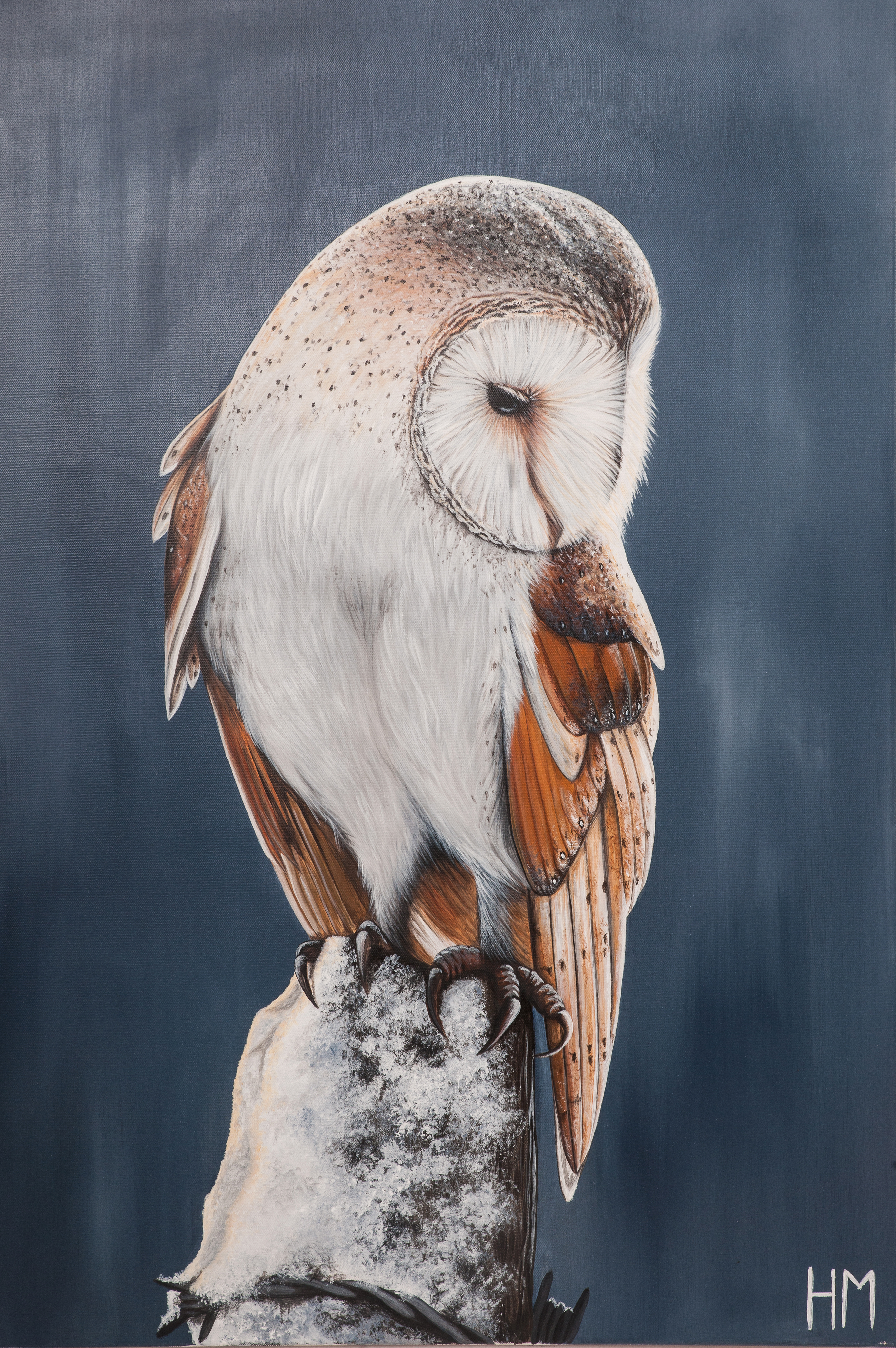 'Barn Owl' by Henriette Mathiesen