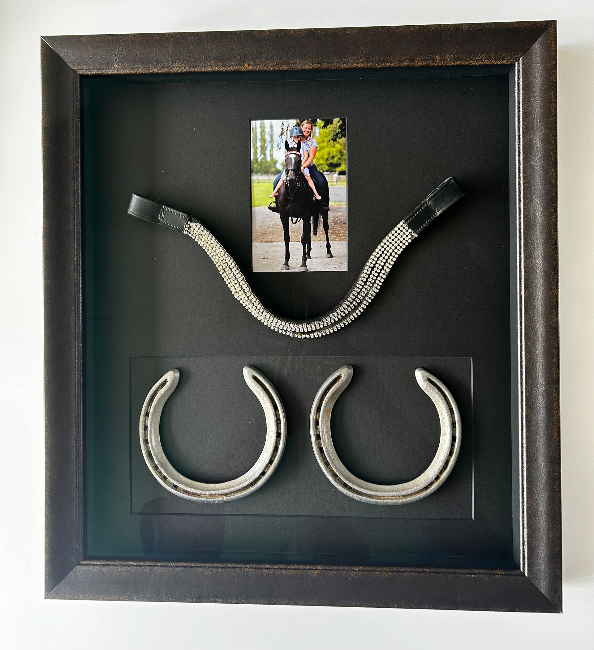 Horse shoes and Bridle