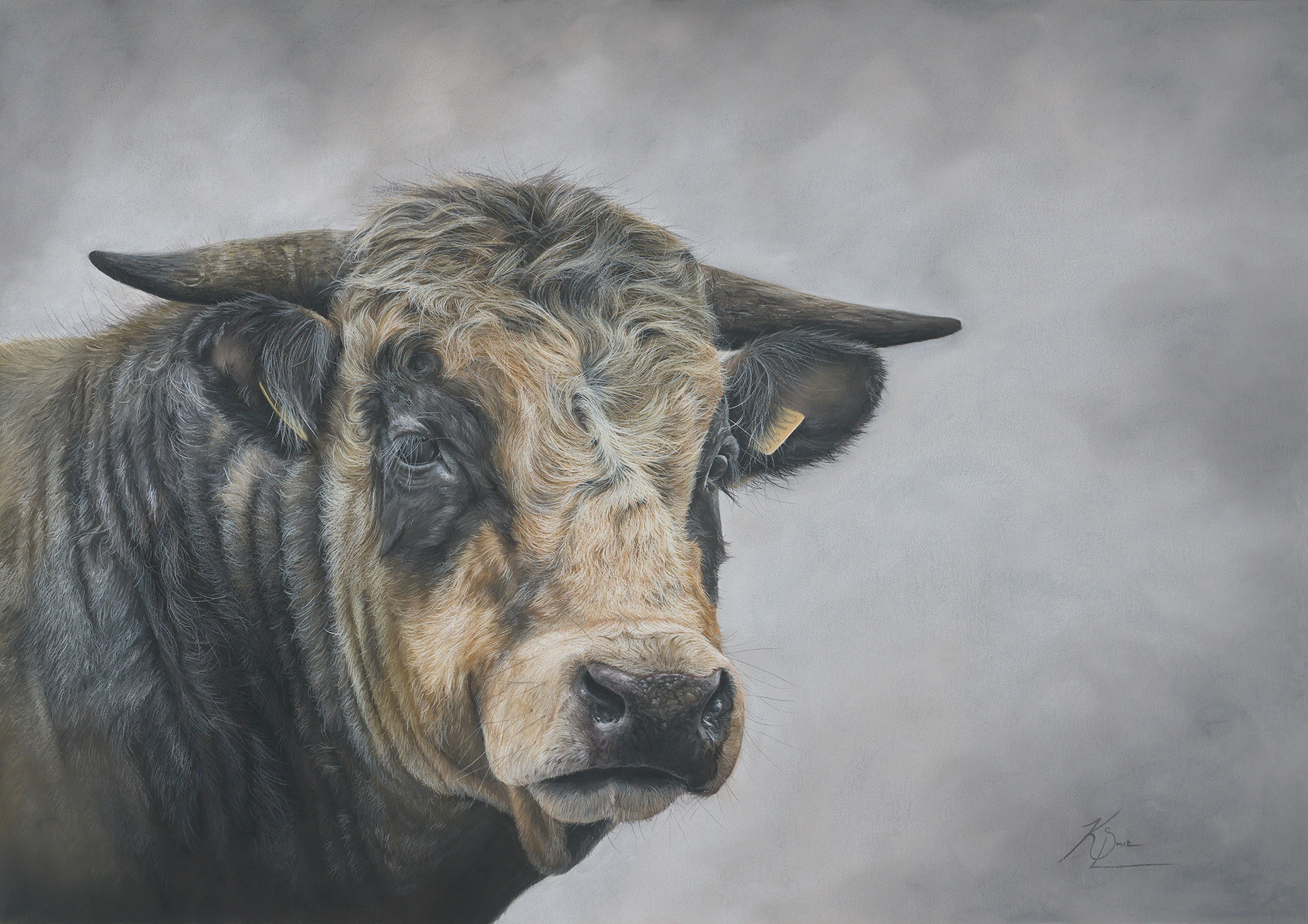 'Bos Taurus' by Kerri-Lee Gunter
