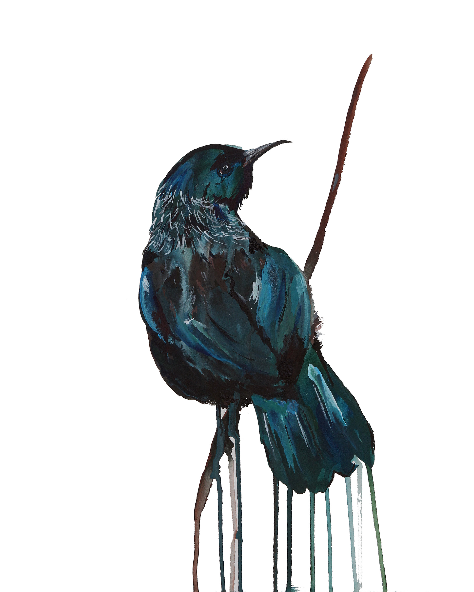 Tui Ink's By Chrissy Taylor