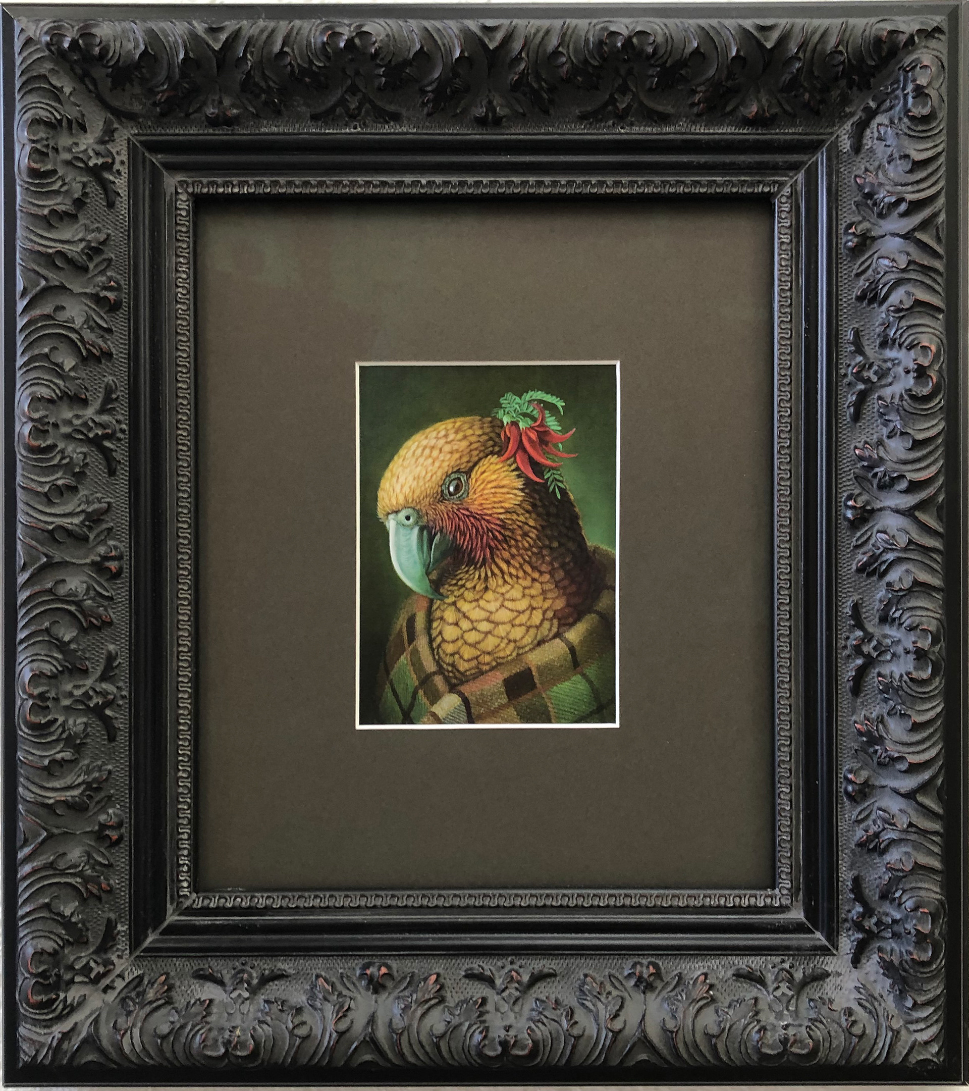 Kaka with Kakabeak by Rieko Woodford-Robinson $449