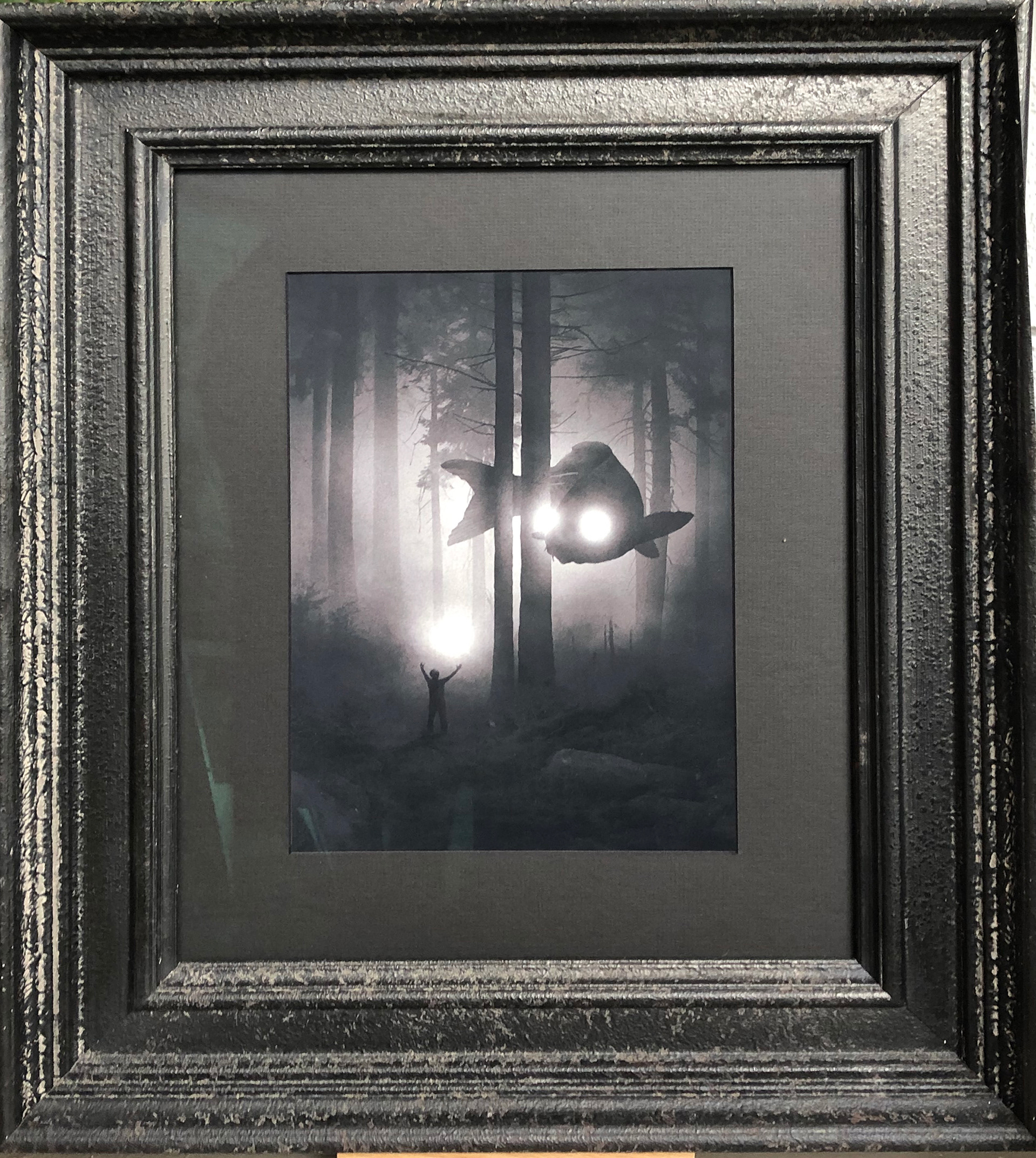 Dark Forest Hot Shots find $650