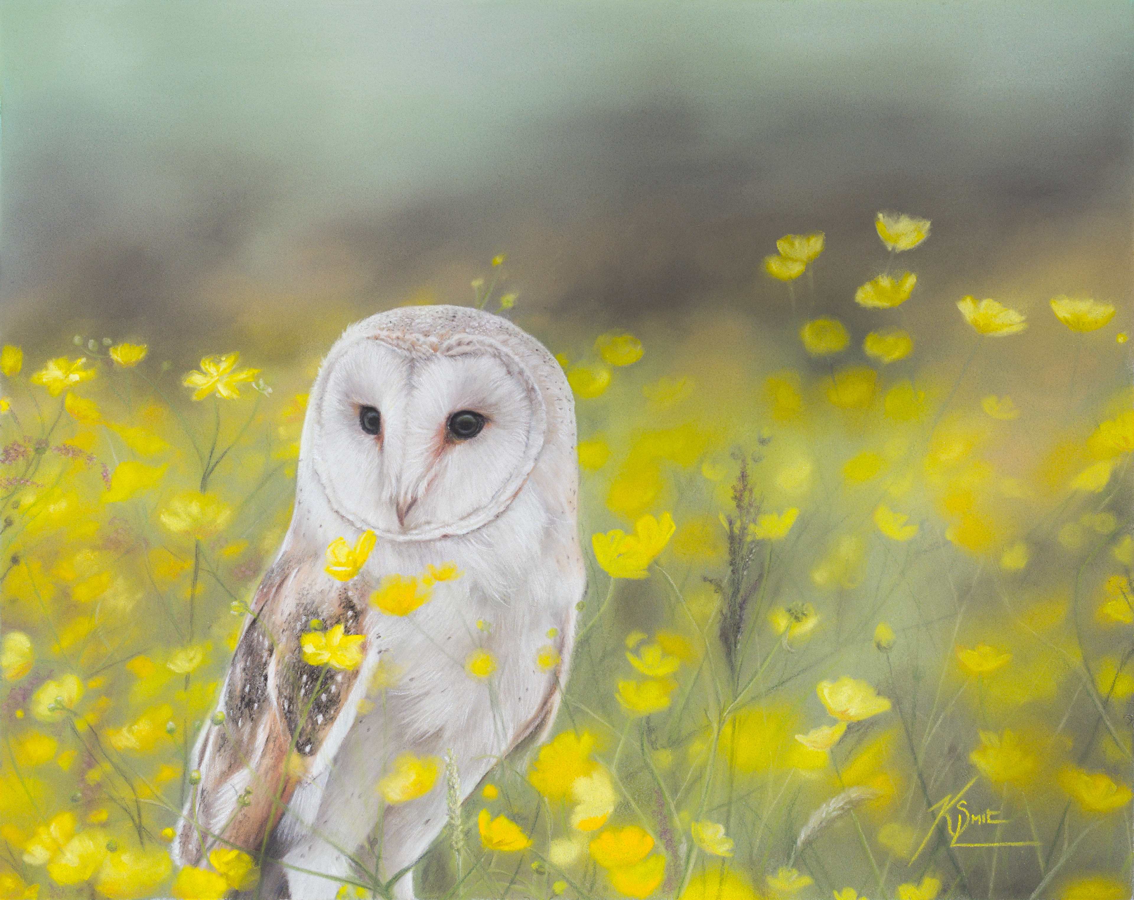 'Where the wild things grow' by Kerri-Lee Gunter