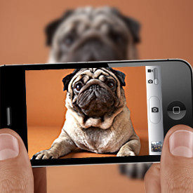 Smiles all around with pet photo's