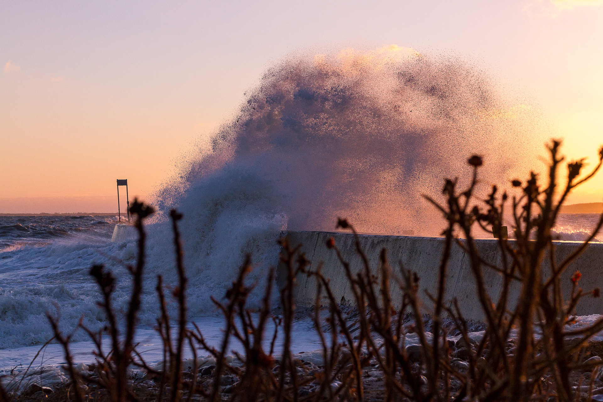 copyright bulgenslag