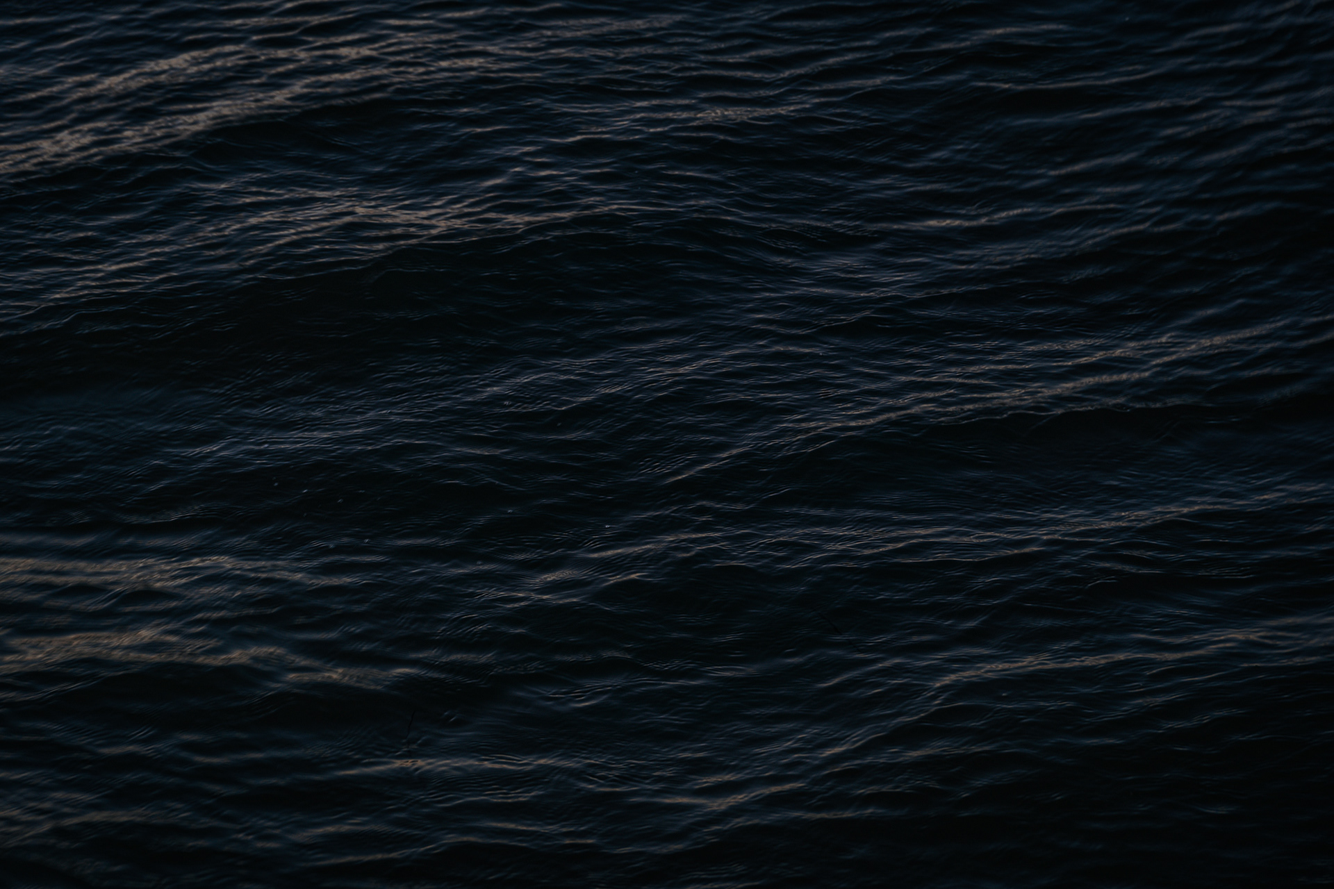 copyright bulgenslag