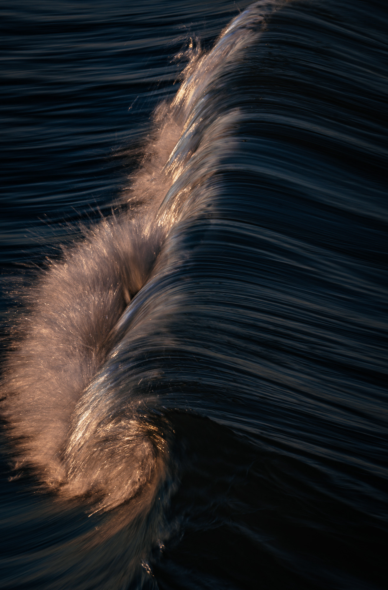 copyright bulgenslag