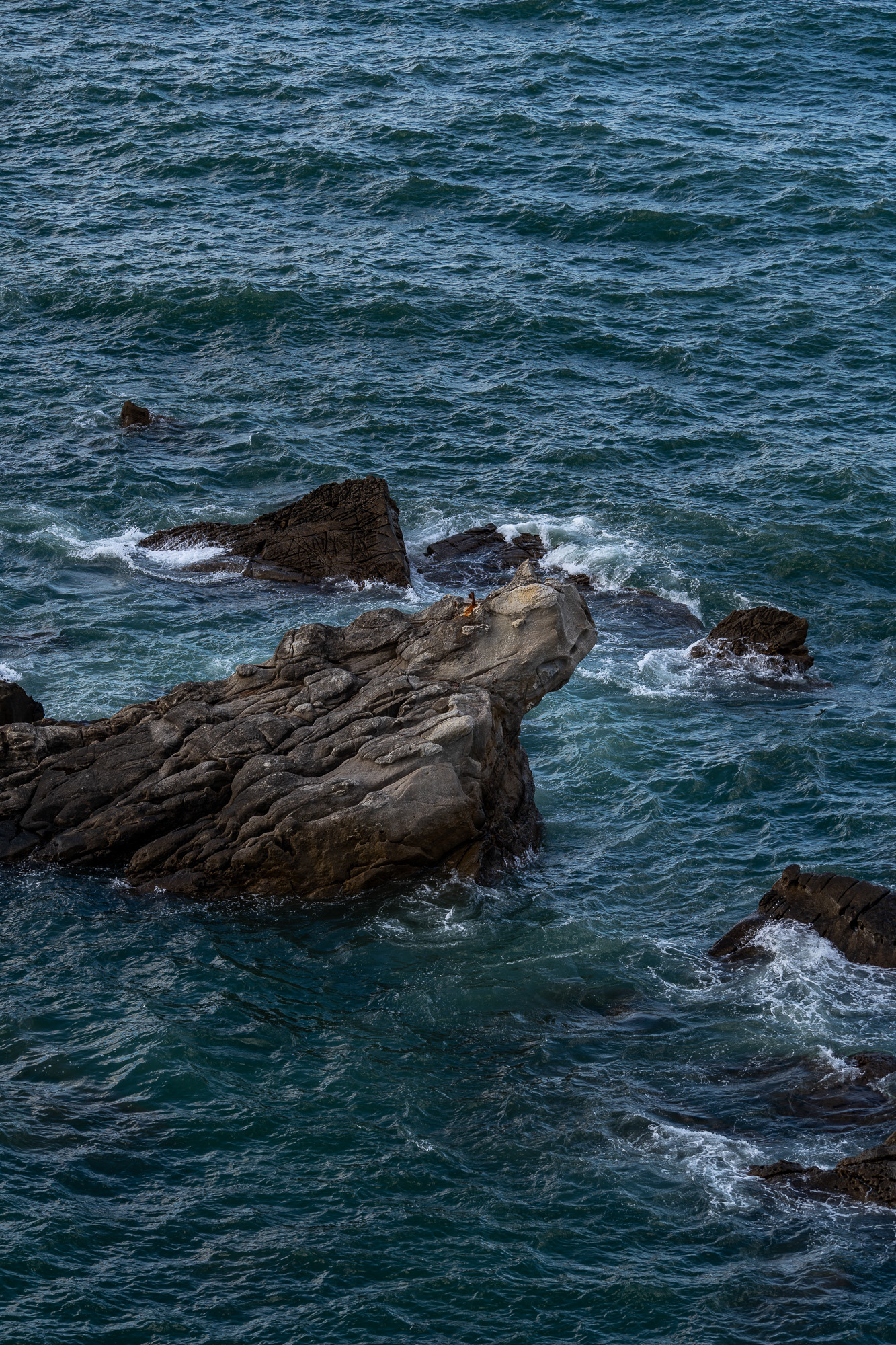 copyright bulgenslag