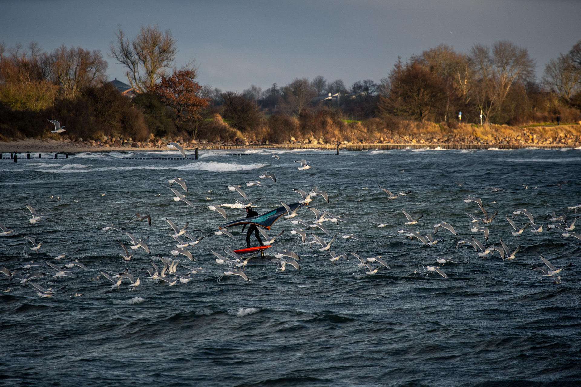 copyright bulgenslag