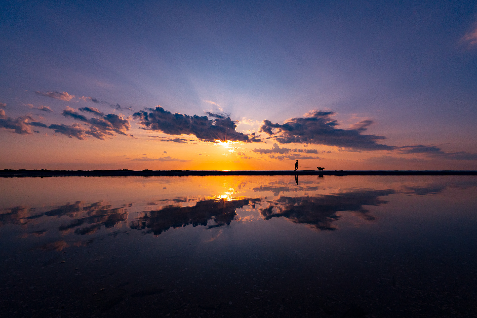 copyright bulgenslag