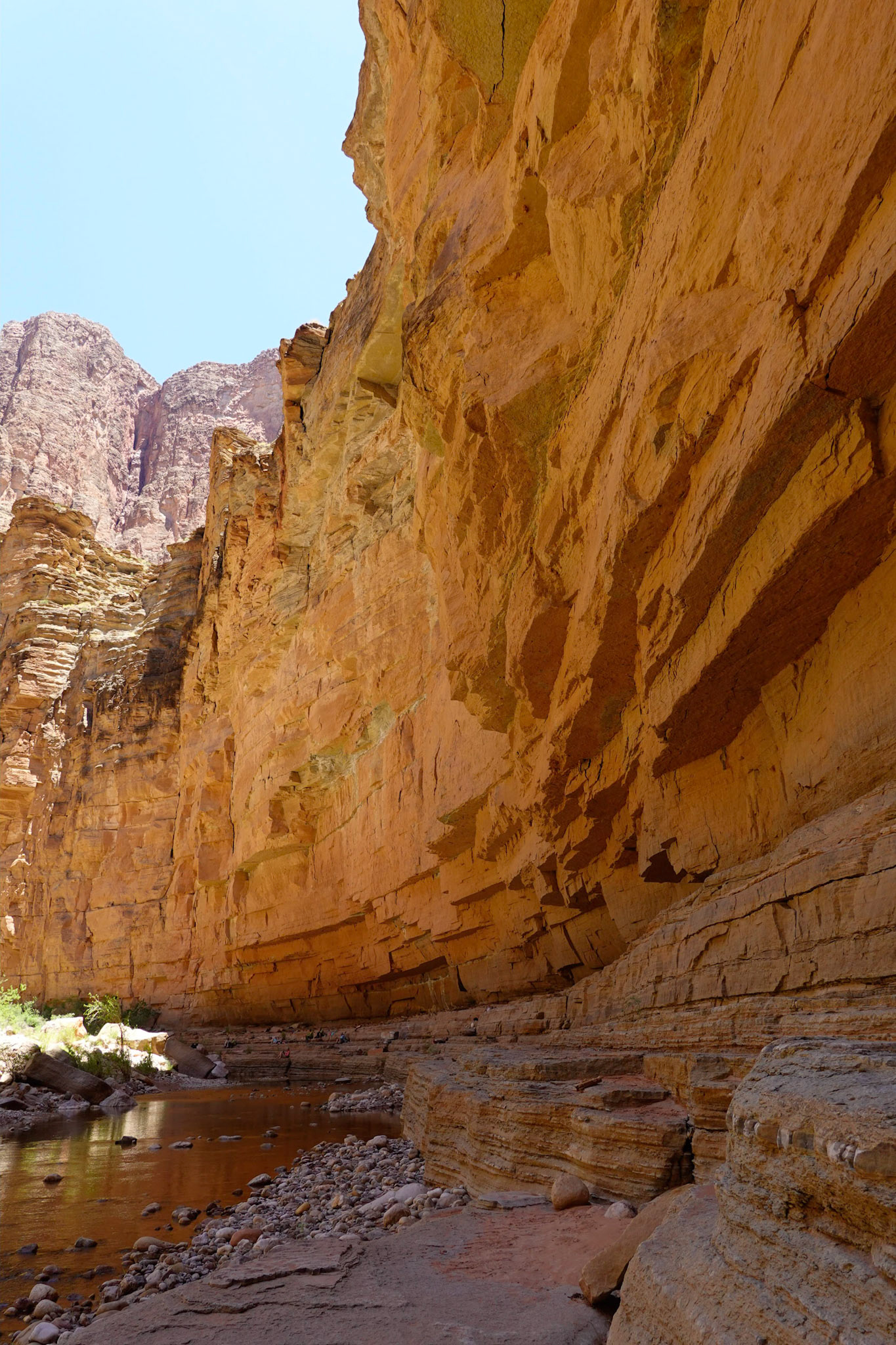 Reflected Canyon Light