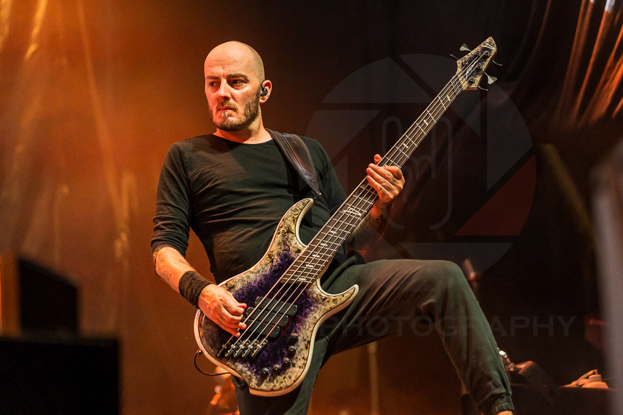 ELUVEITIE