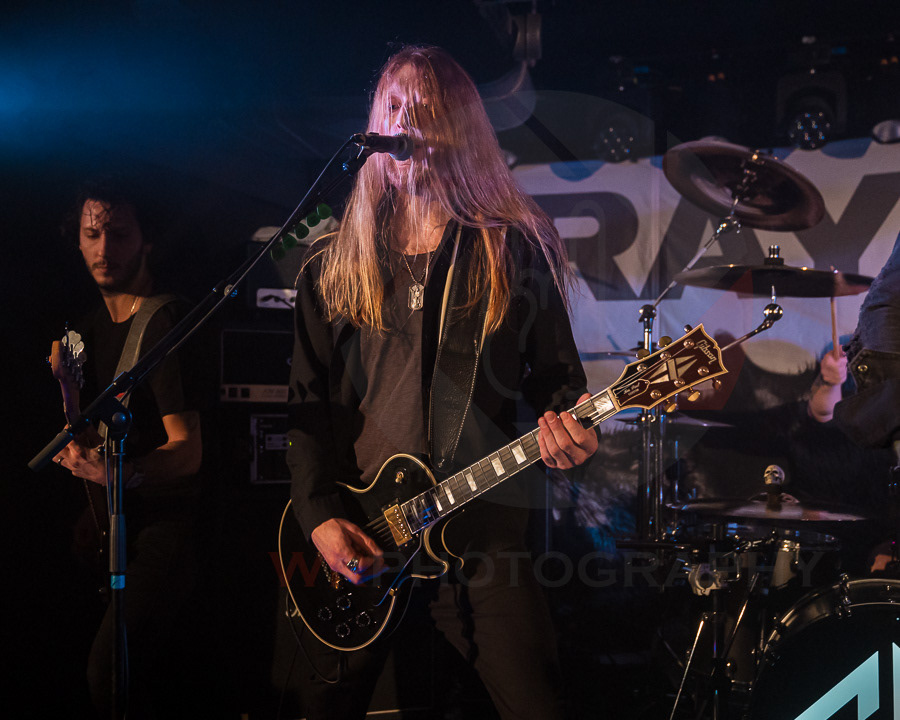GRAYWOLF
