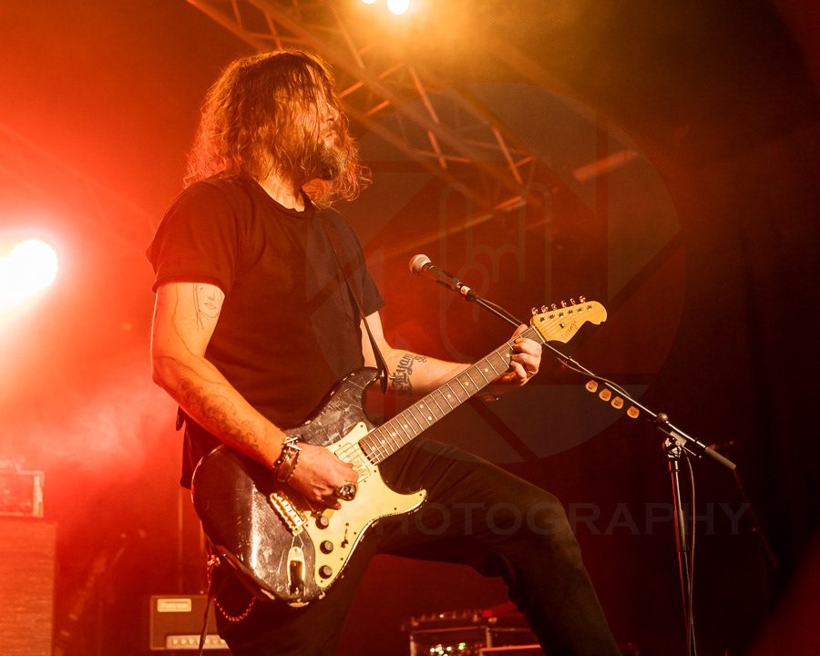 GRAYWOLF