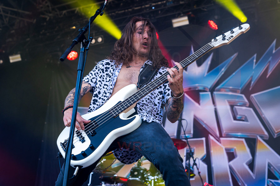 KING ZEBRA