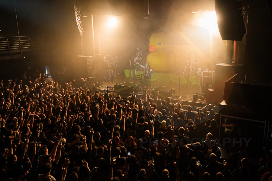 ALESTORM