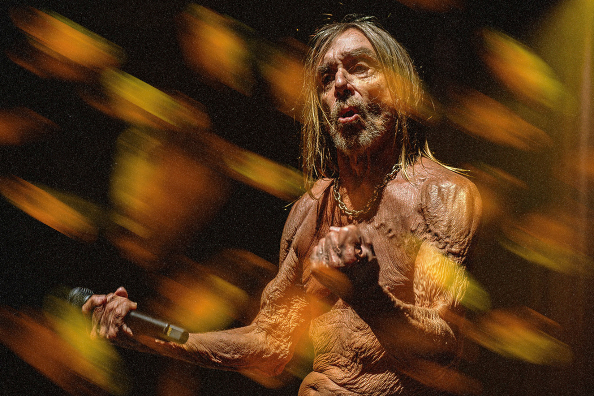 Iggy Pop @ Smukfest