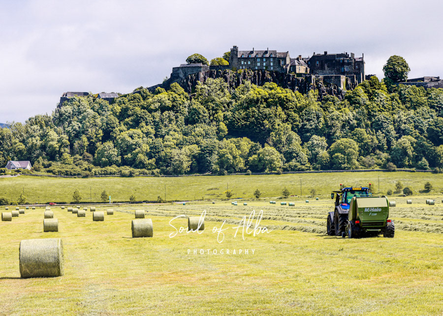 Stirling castle Hay Bales