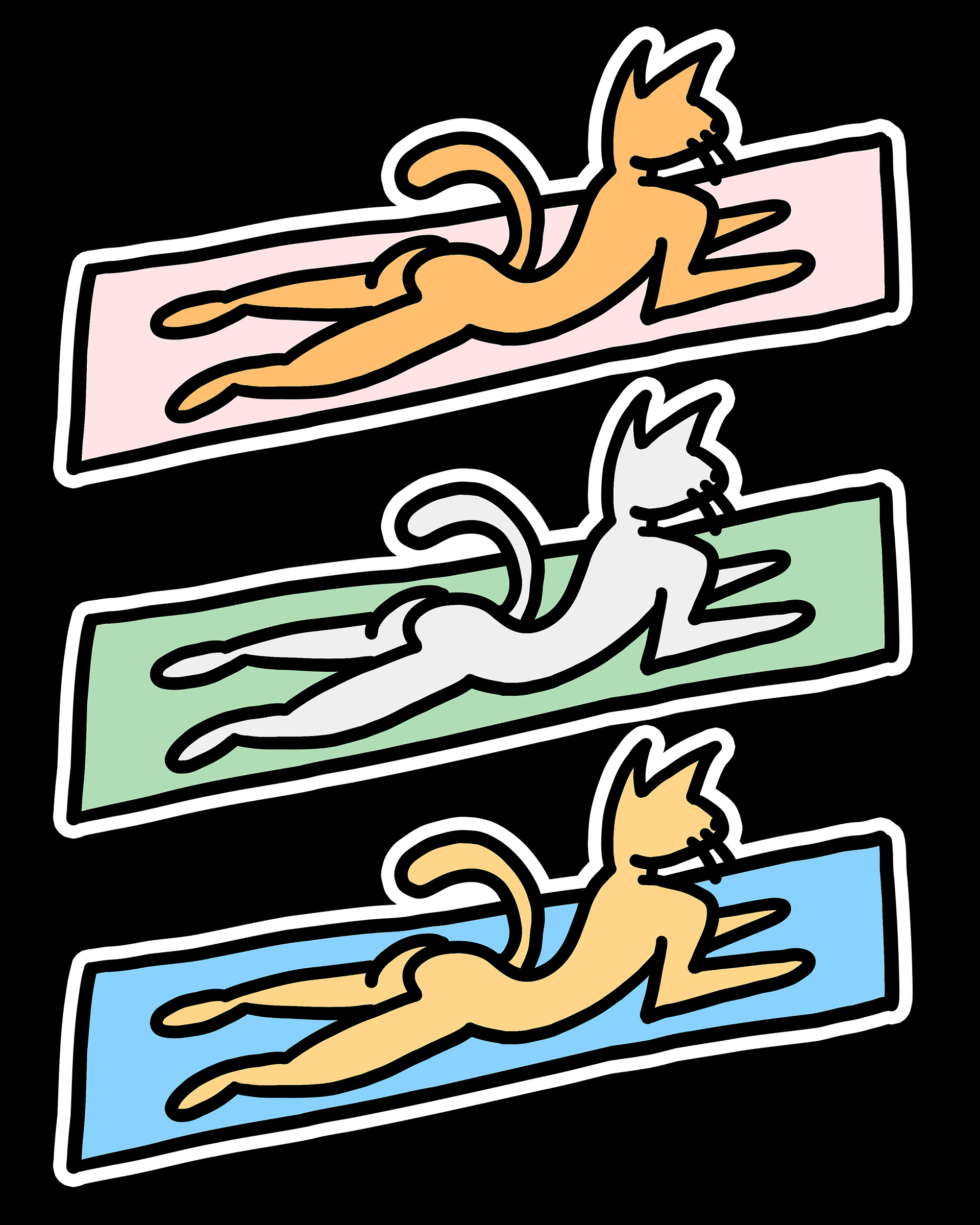 "Yoga Cat" 2025