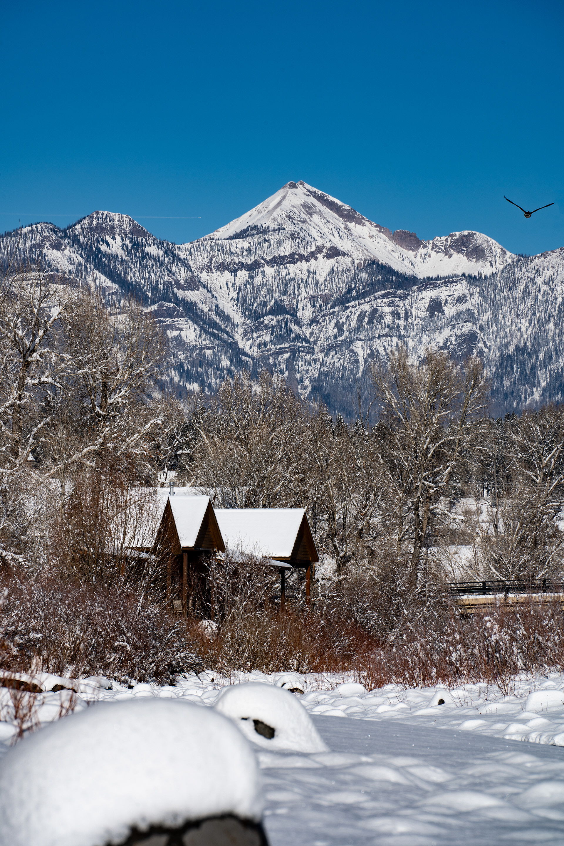 2020 - Pagosa Peak from Yamaguchi Park