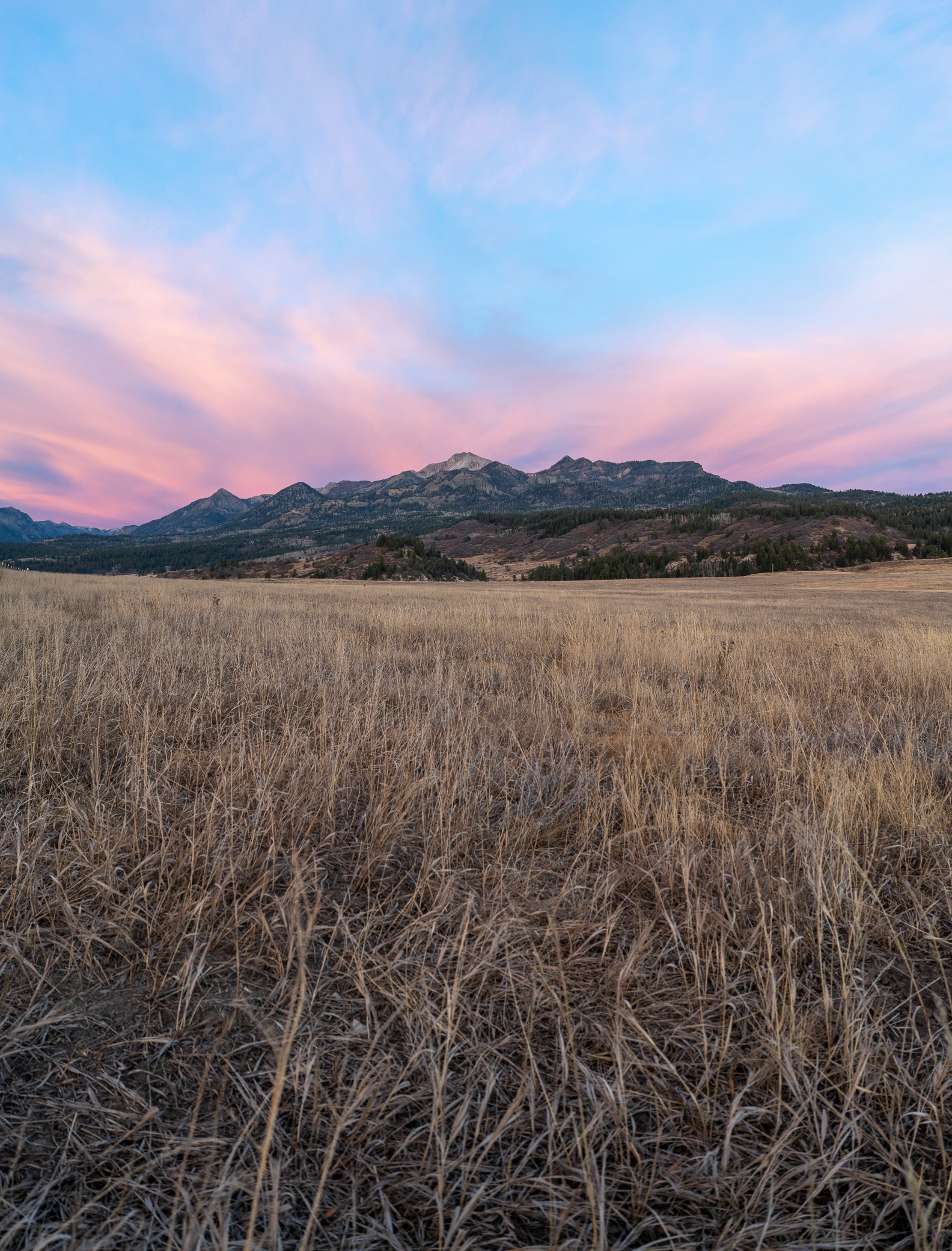 2021 - Pagosa Peak from Piedra Road