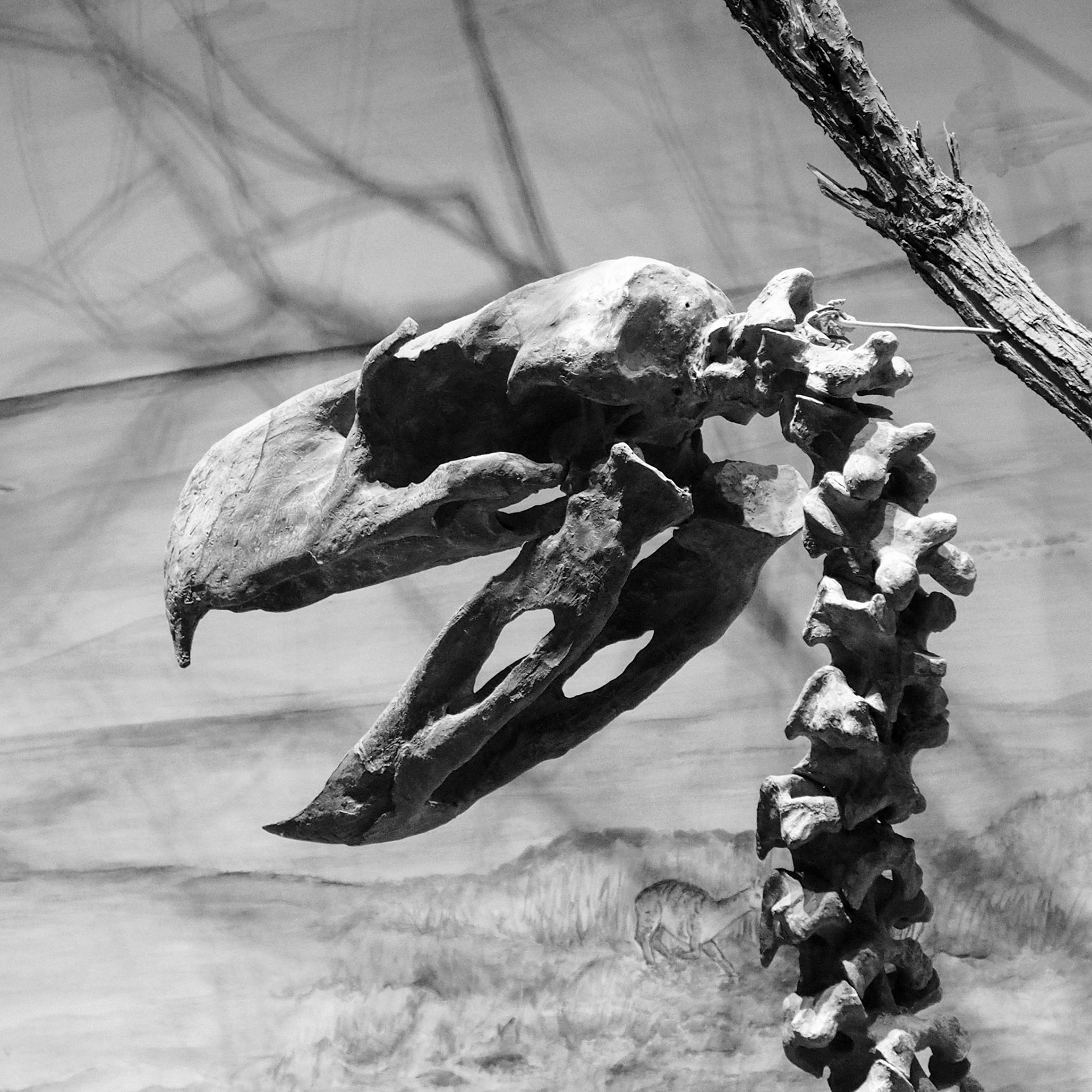 Trelew, ©2019 Dirk Banda