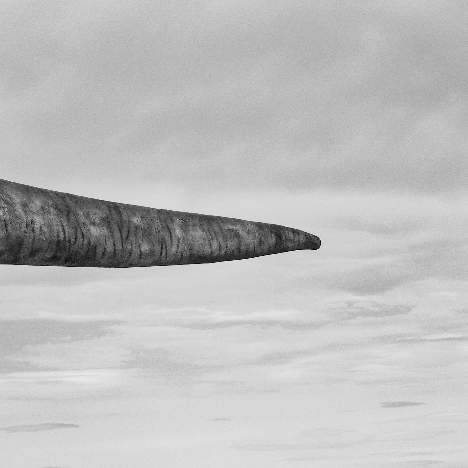 Trelew, ©2019 Dirk Banda