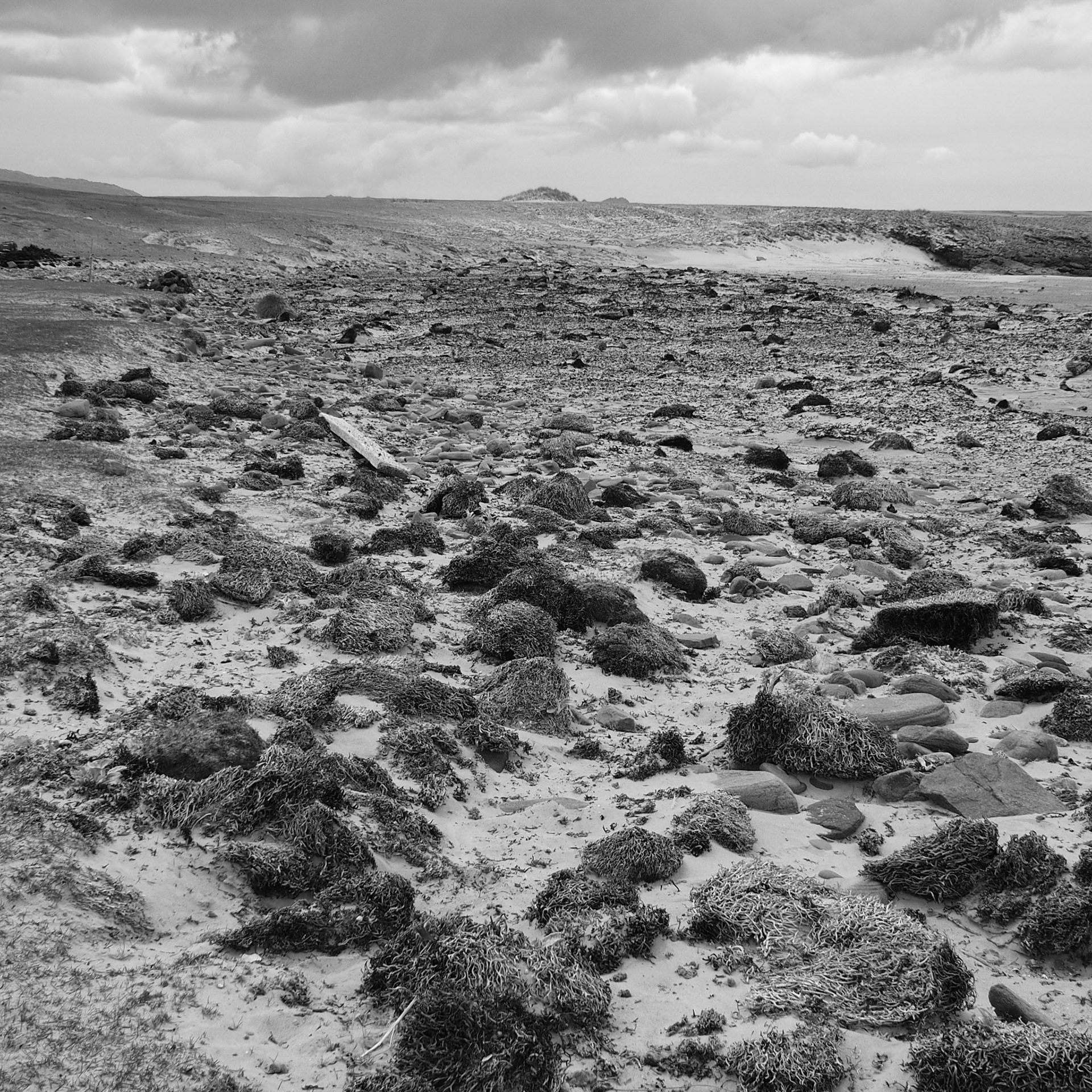 Falkland Islands (Islas Malvinas), ©2019 Dirk Banda
