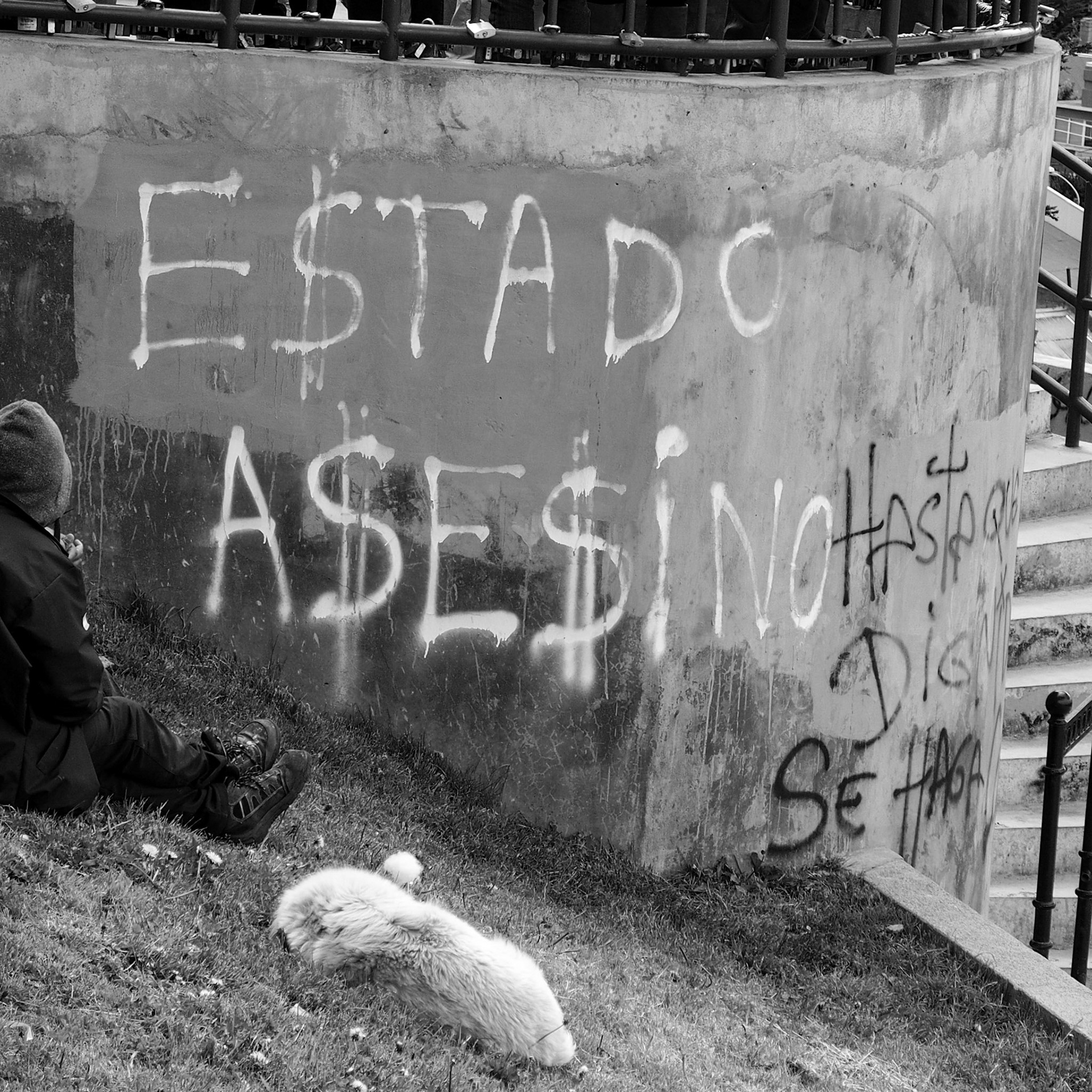 Punta Arenas, ©2019 Dirk Banda