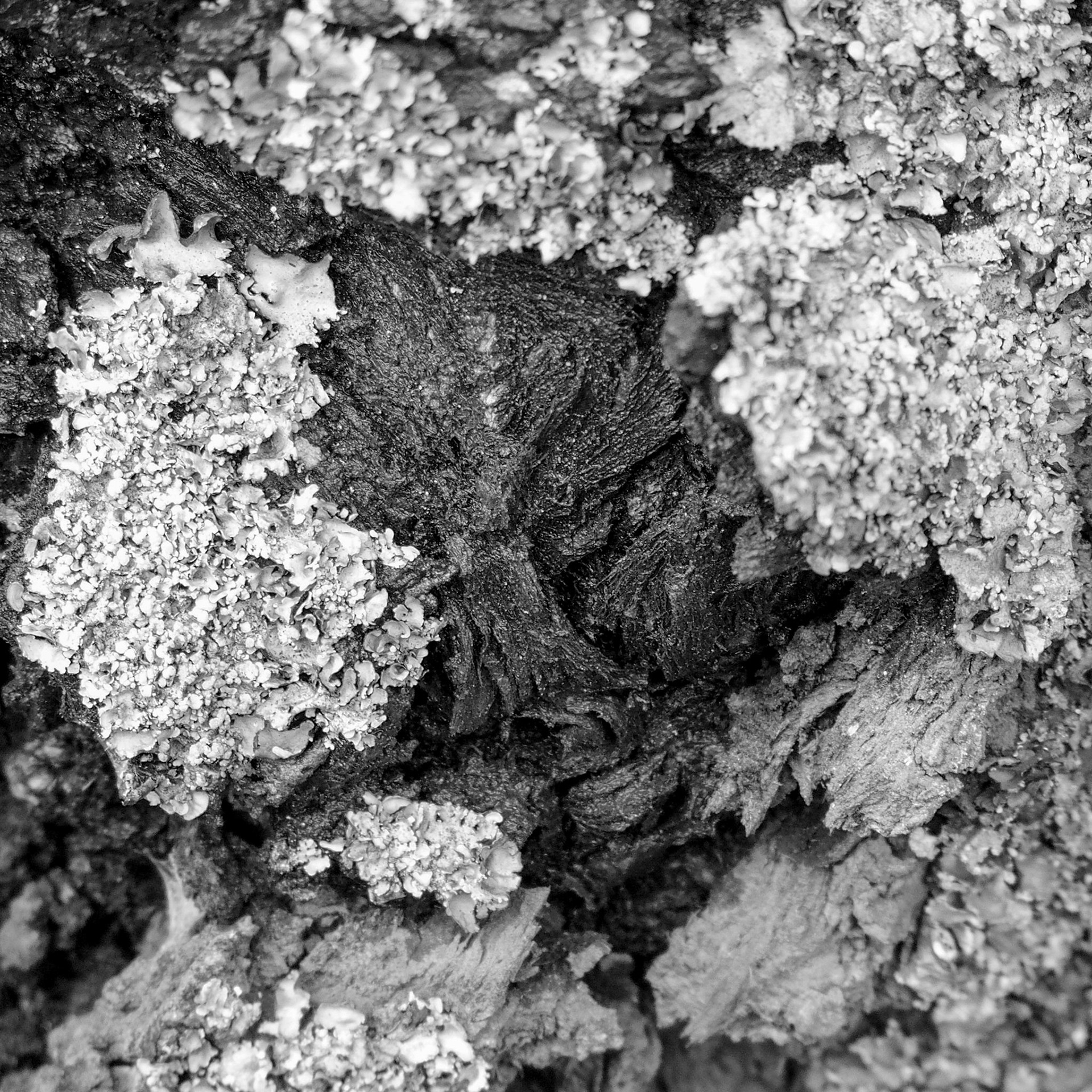 Frutillar, ©2019 Dirk Banda