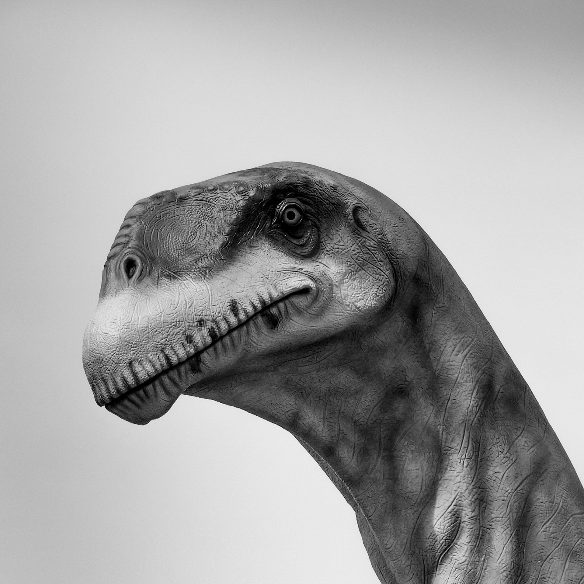 Trelew, ©2019 Dirk Banda