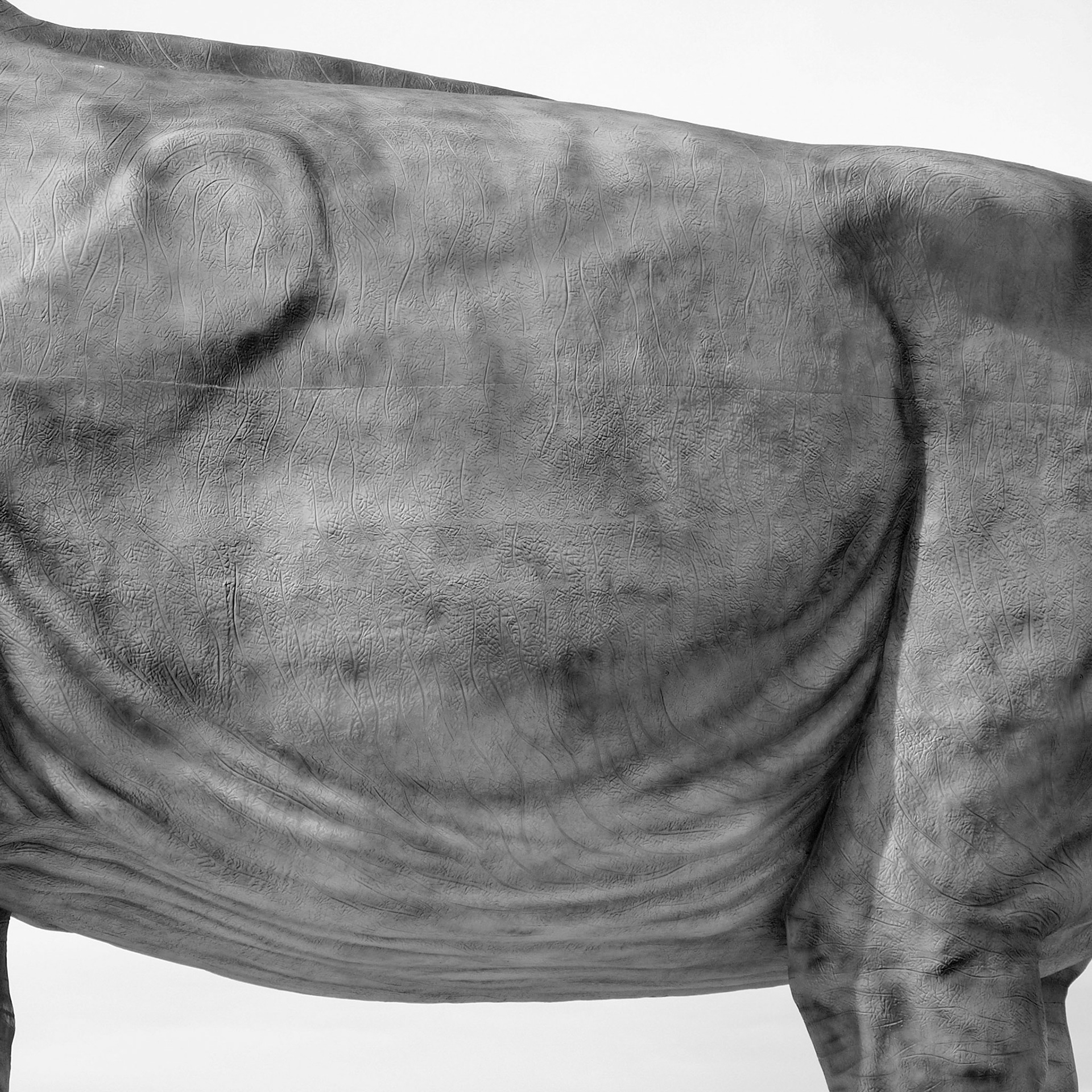 Trelew, ©2019 Dirk Banda