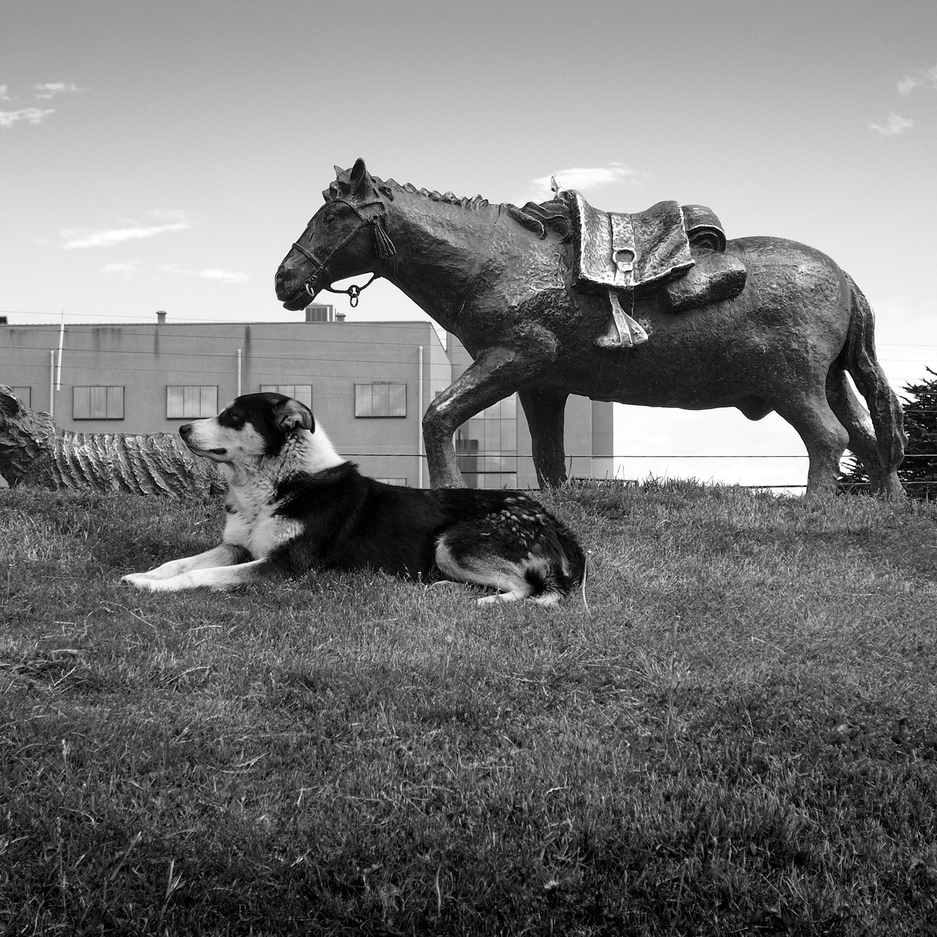 Punta Arenas, ©2019 Dirk Banda