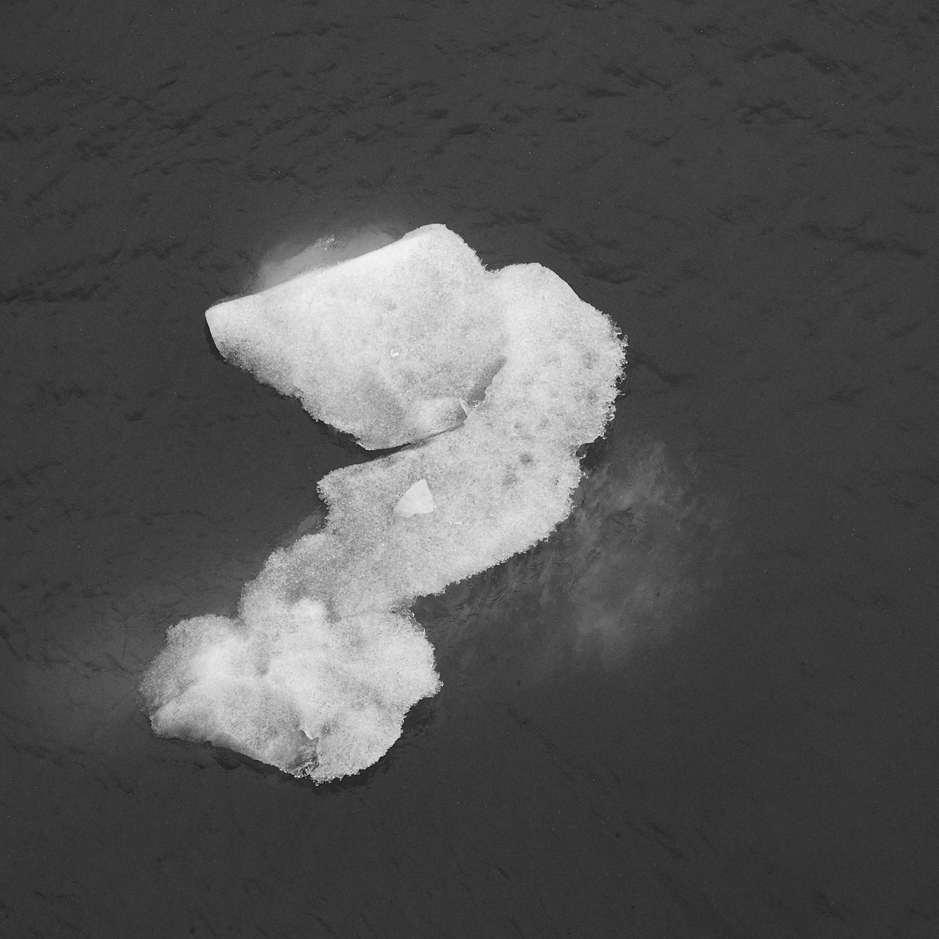 Amalia Glacier, ©2019 Dirk Banda